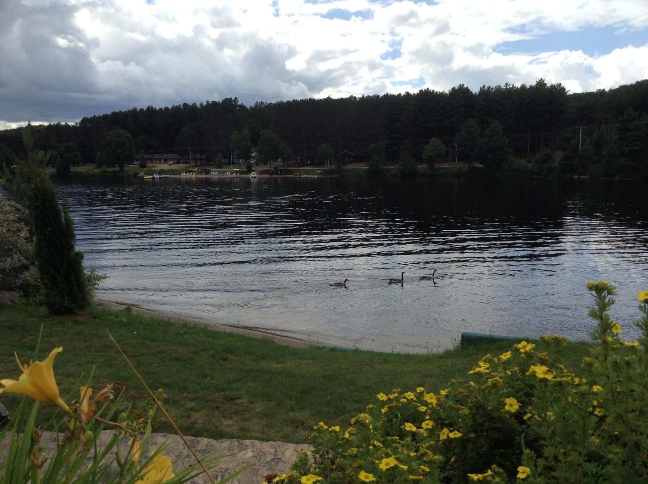 Algonquin Lakeside Inn