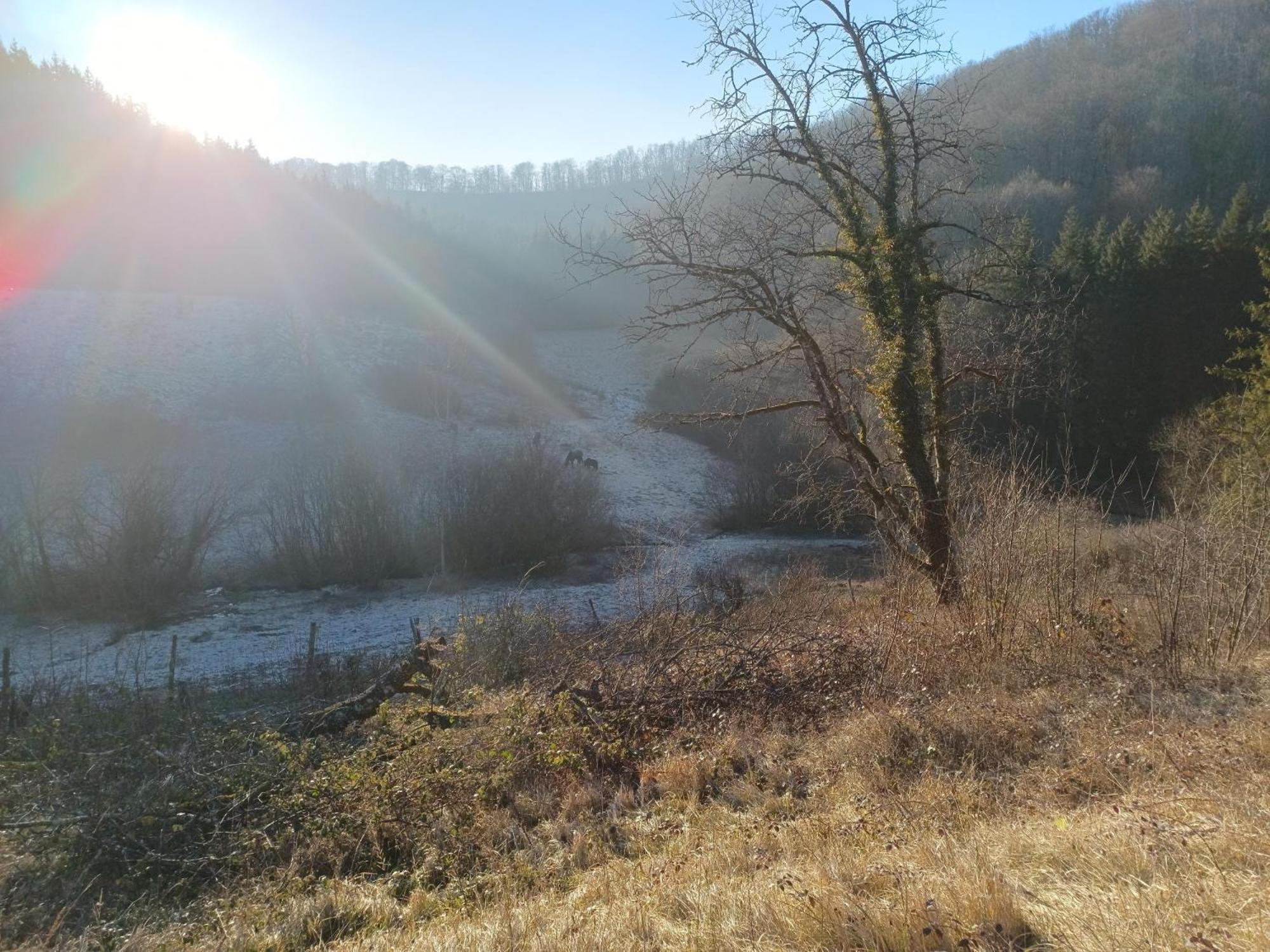 Domaine de Rosière