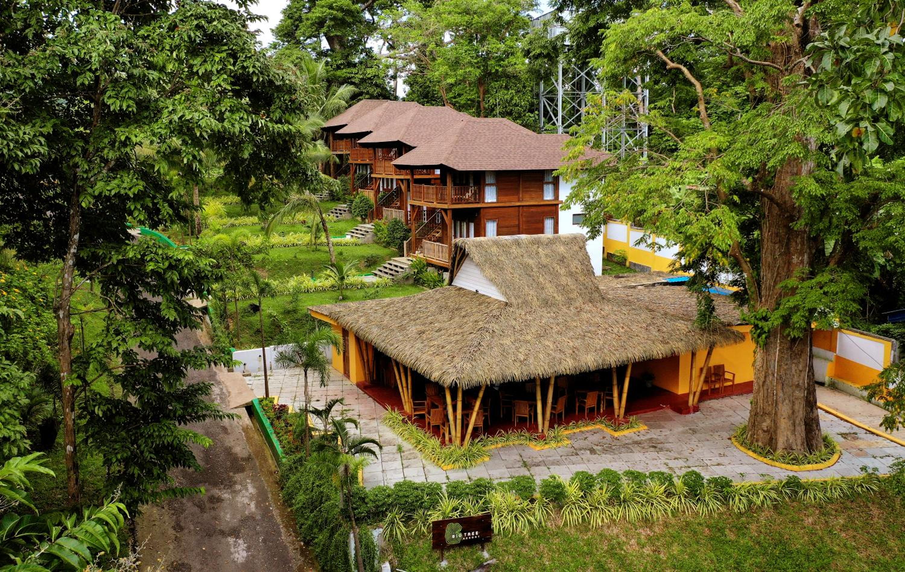 Big Tree Cottages view 5