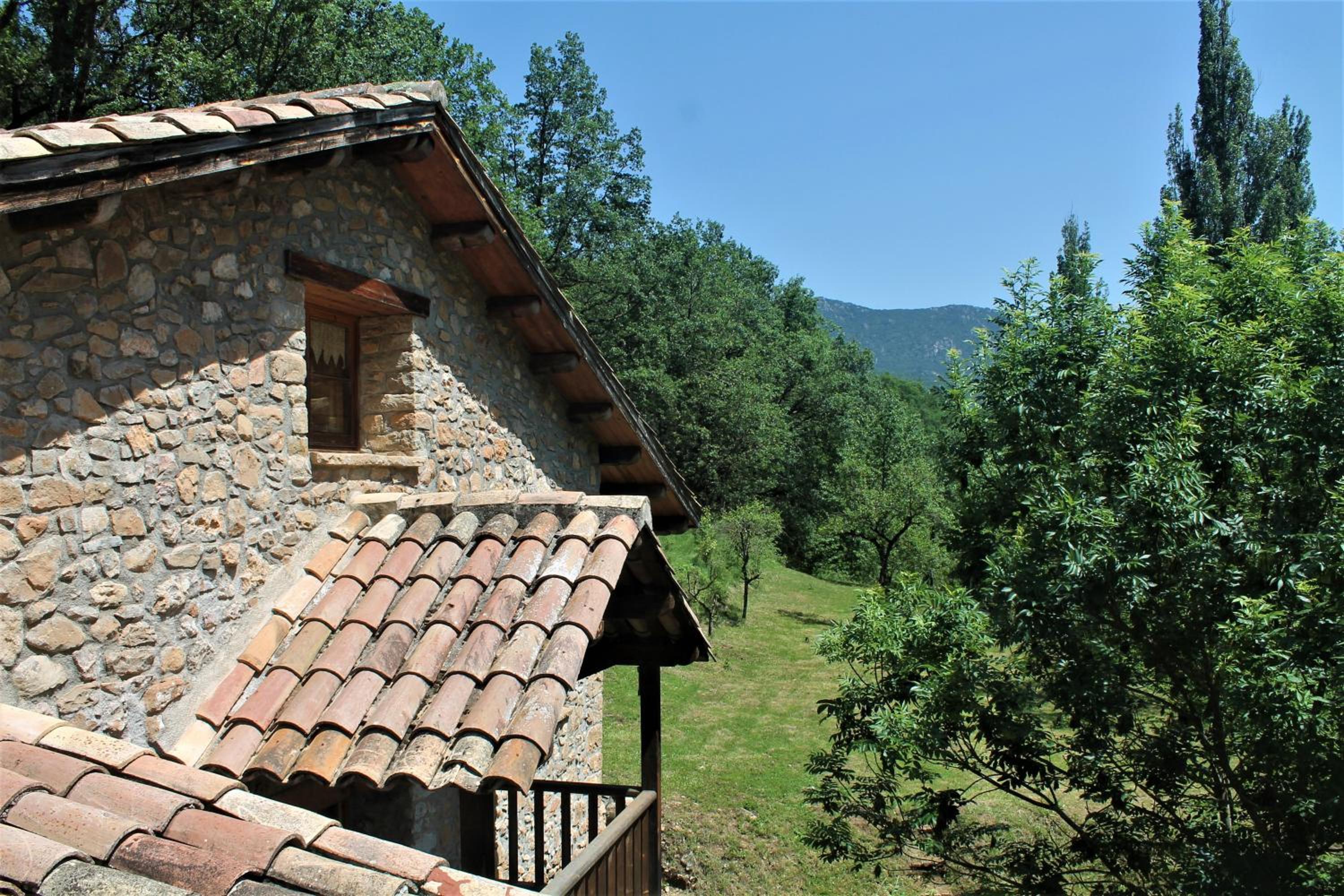 Photo 29