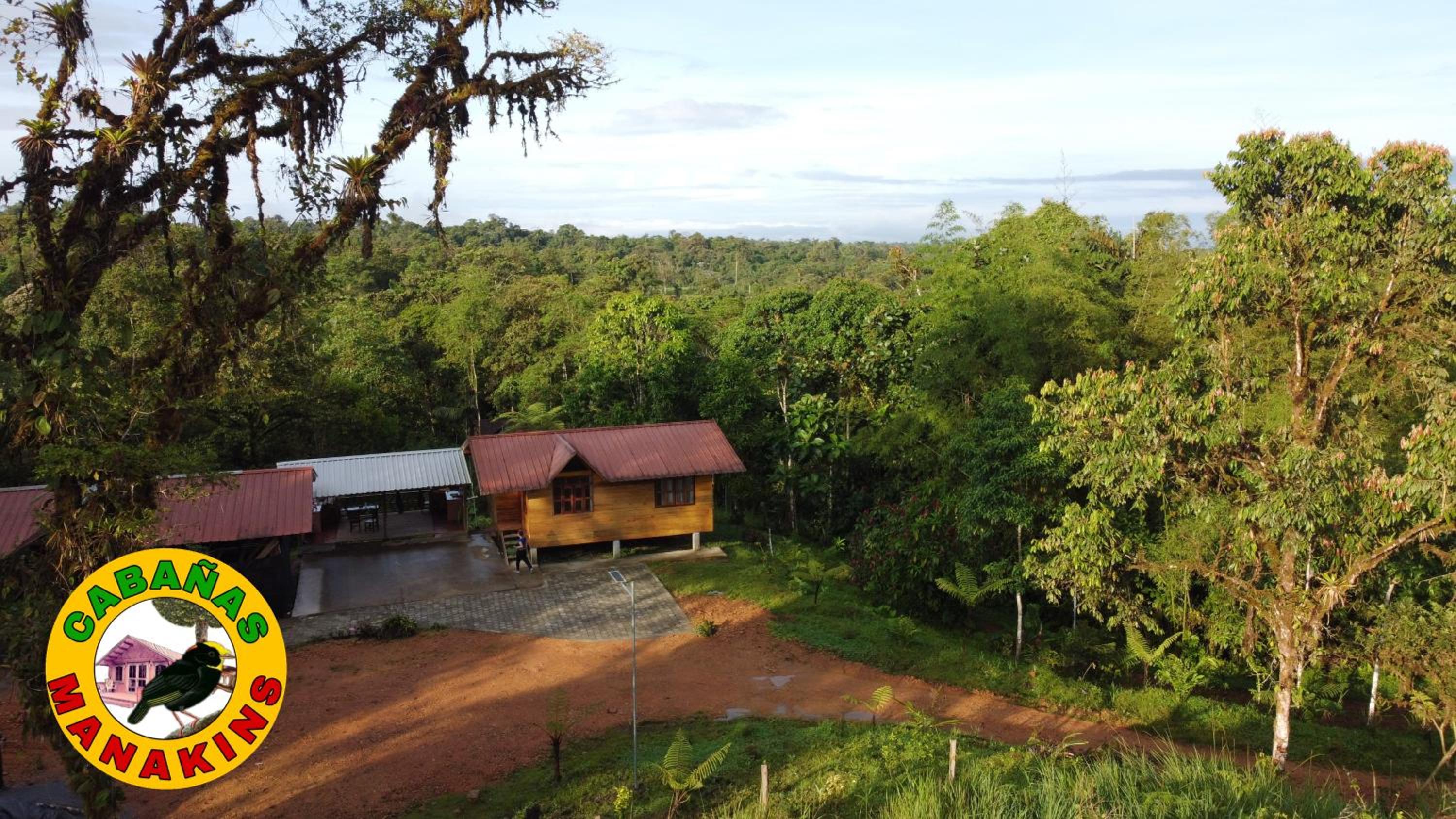 Cabañas Manakins view 5