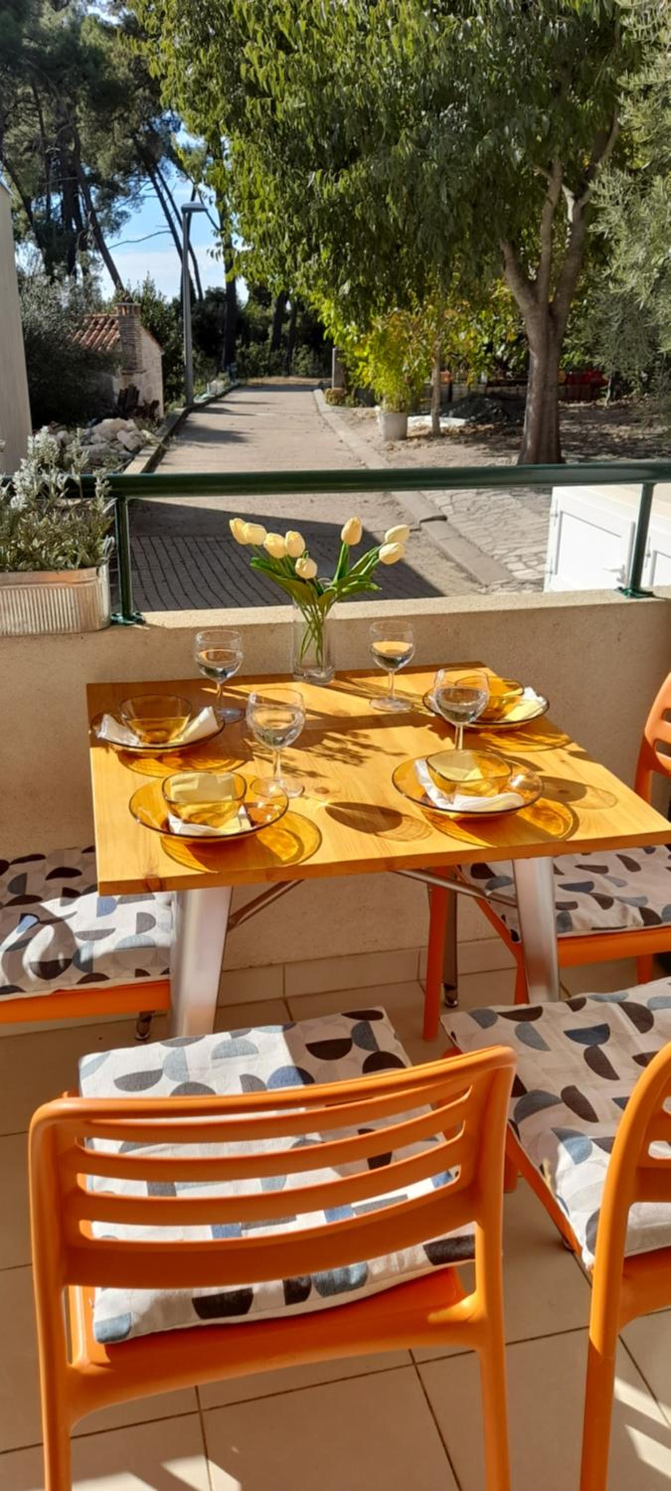 balance & terrace
