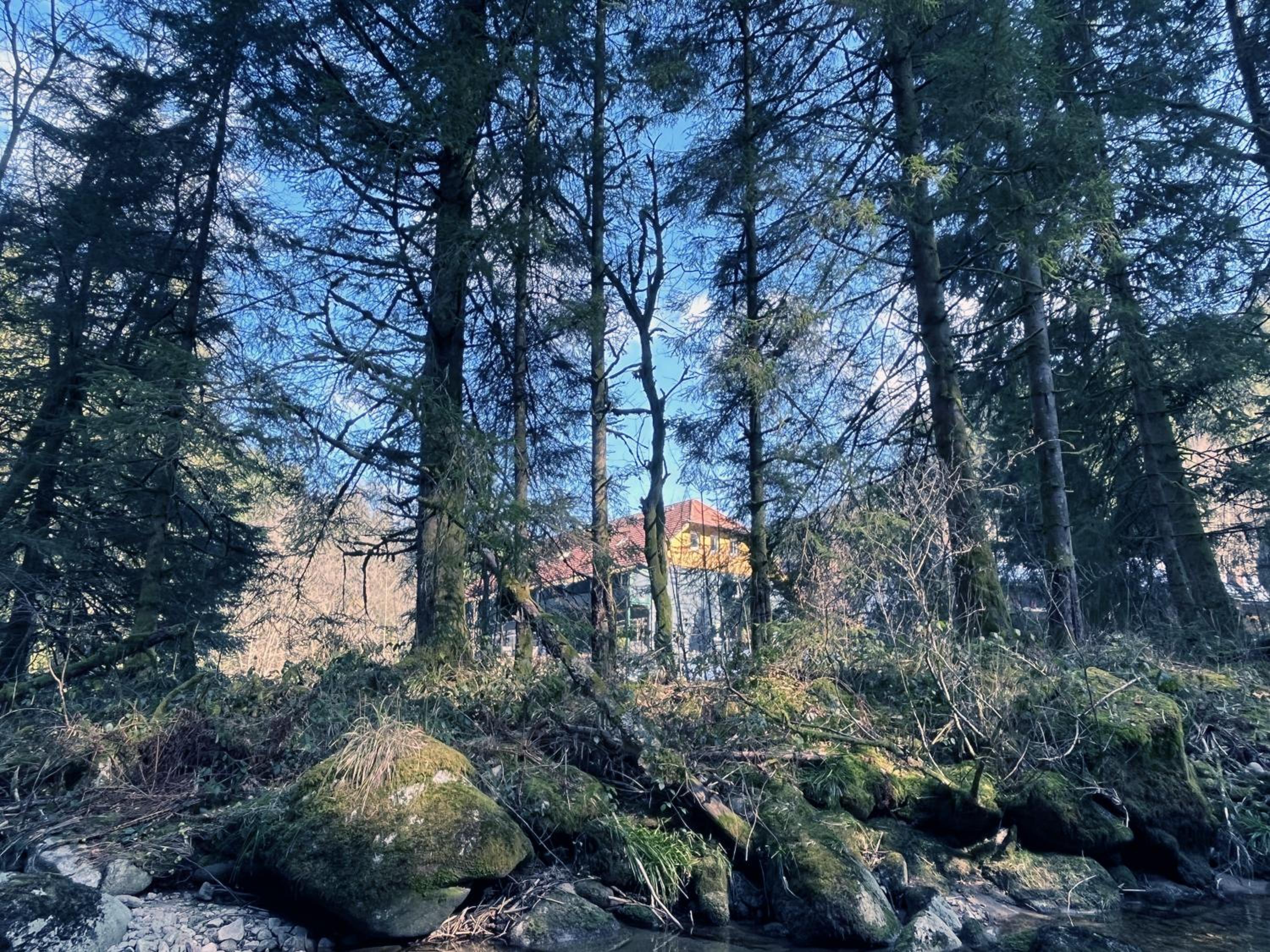 Photo 19