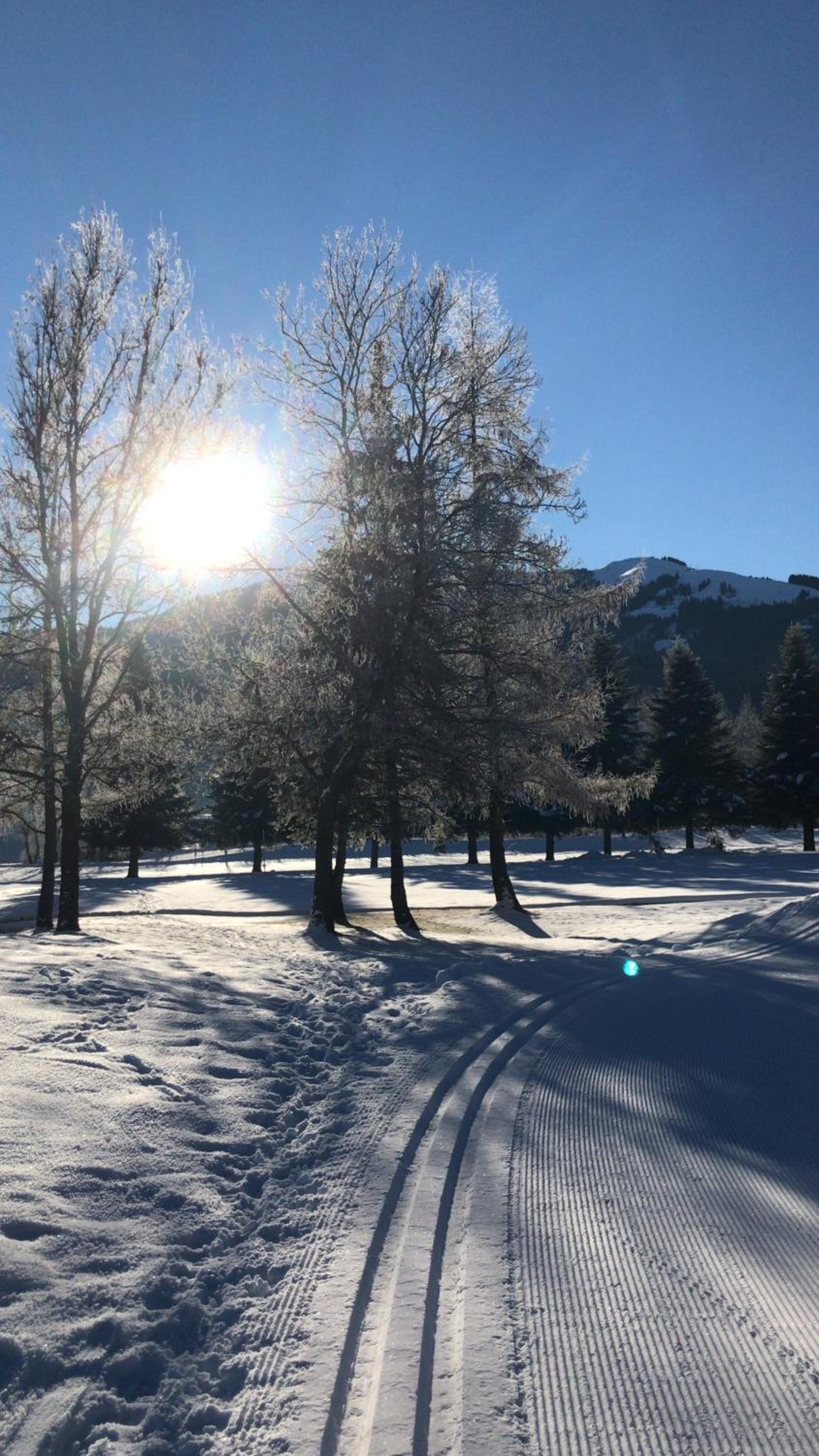 Fleckalm Chalets