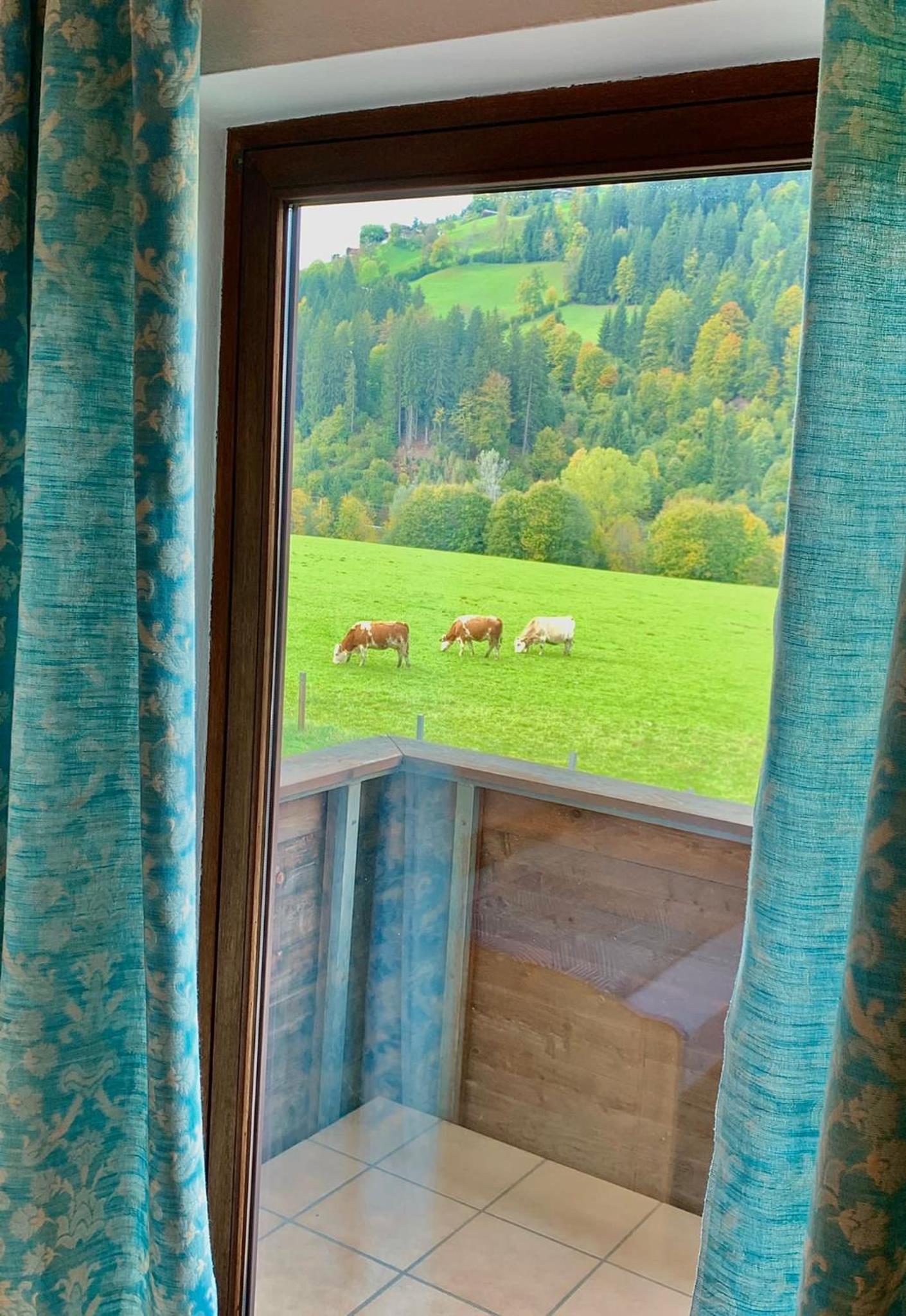 Fleckalm Chalets