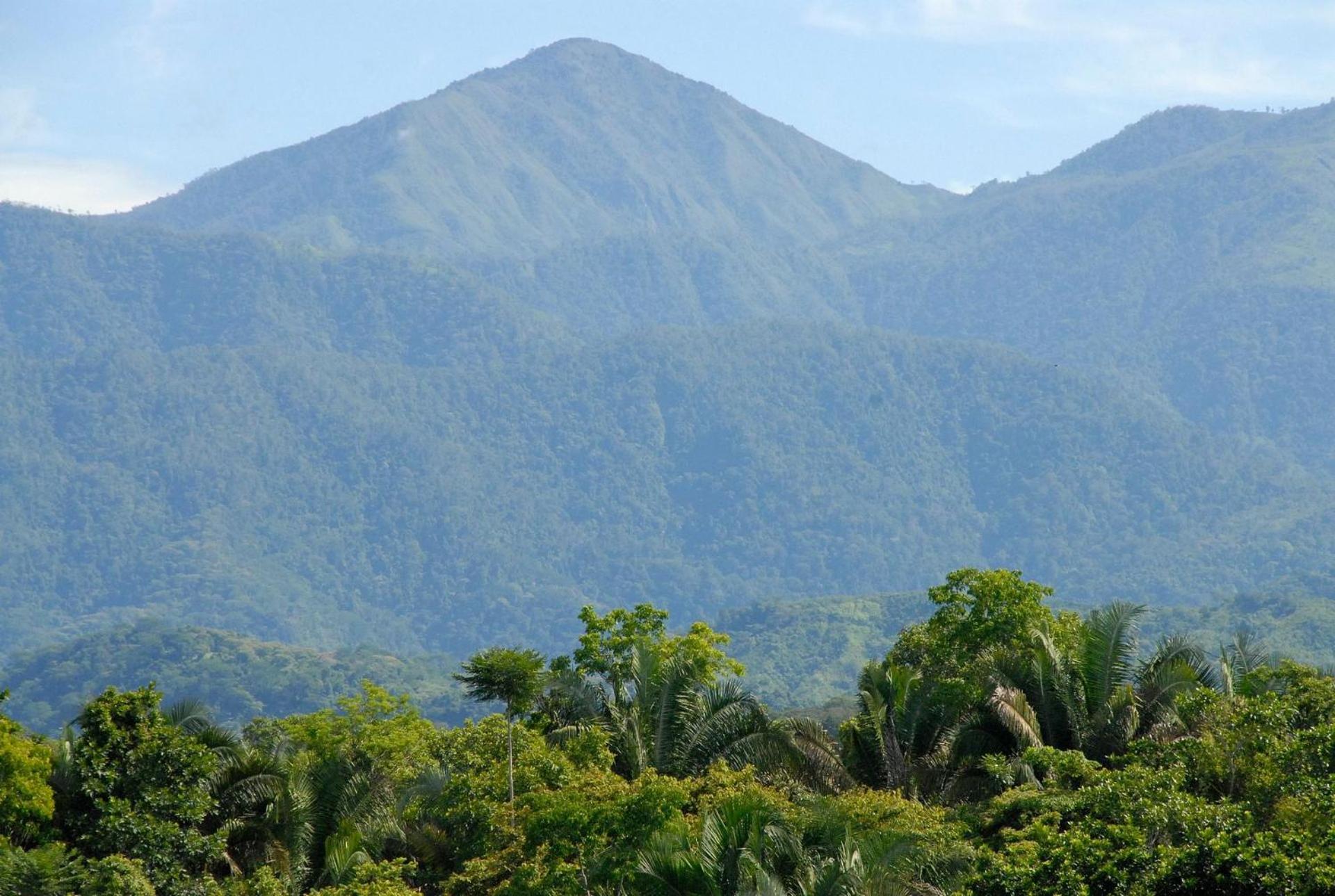 Villa Kiskadee - Beautiful Mountain Views with Private Pool