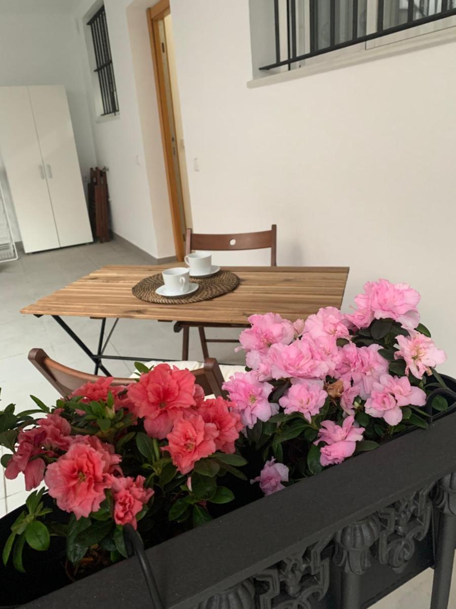 Casa Vigon photo 4