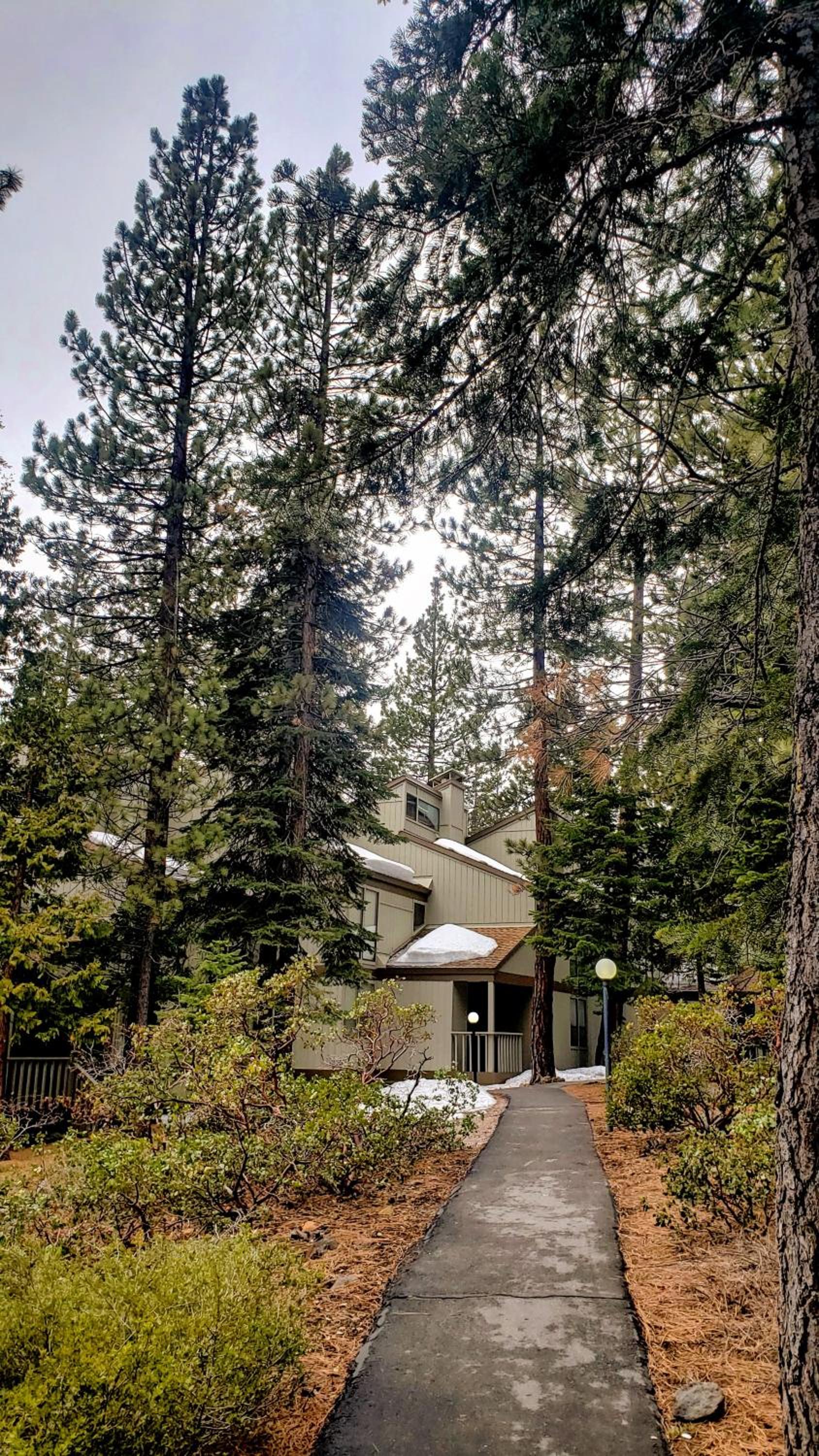 Hotel Woodsy retreat near Northstar & lake - Image 1
