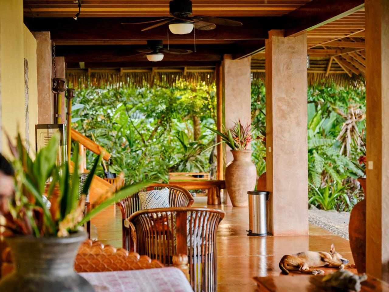 Copa De Arbol Beach & Rainforest Resort