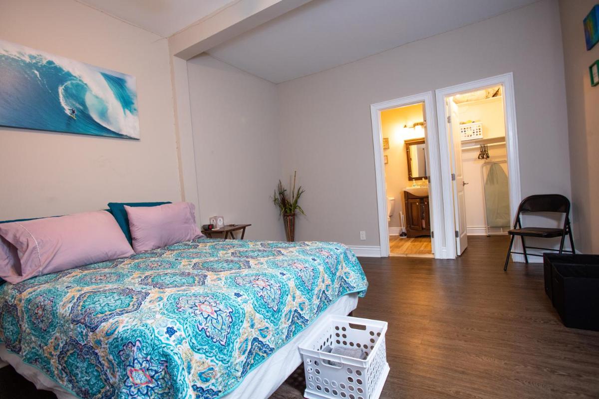 Cozy Studio in the Downtown/Montrose area view 3