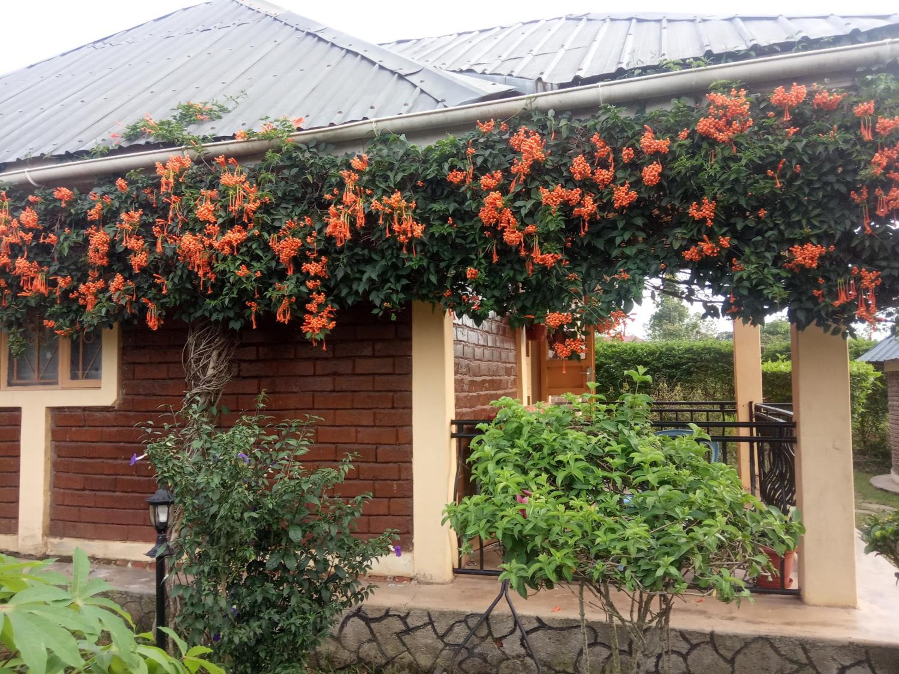 Plastic Bottles House