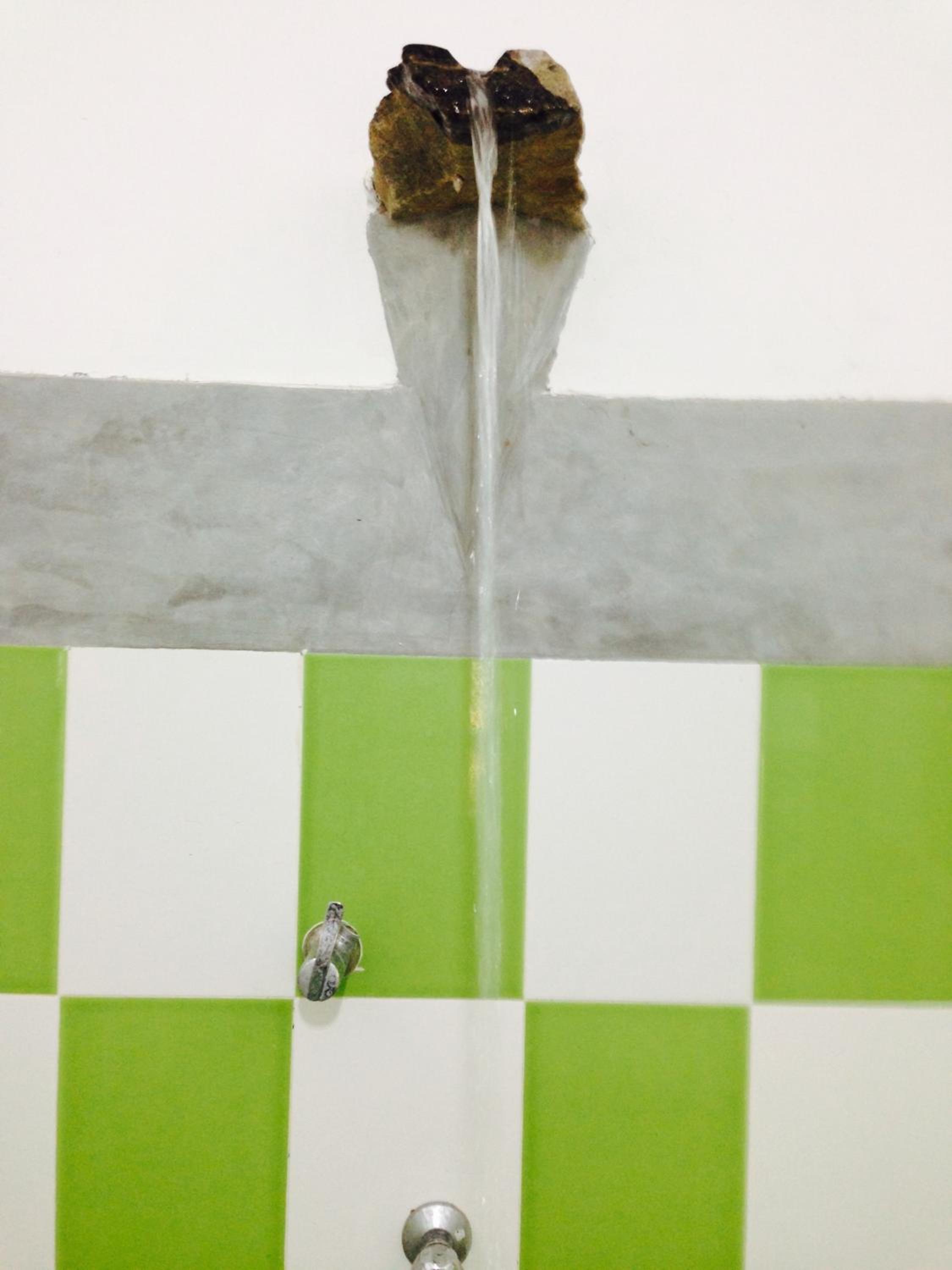 Photo 39