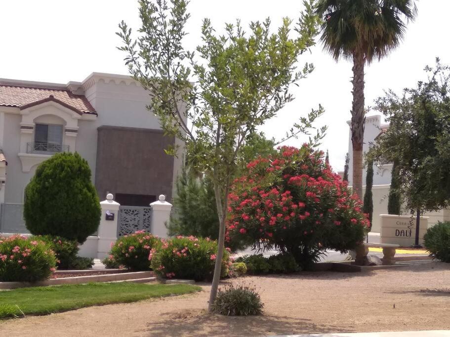 Photo 6