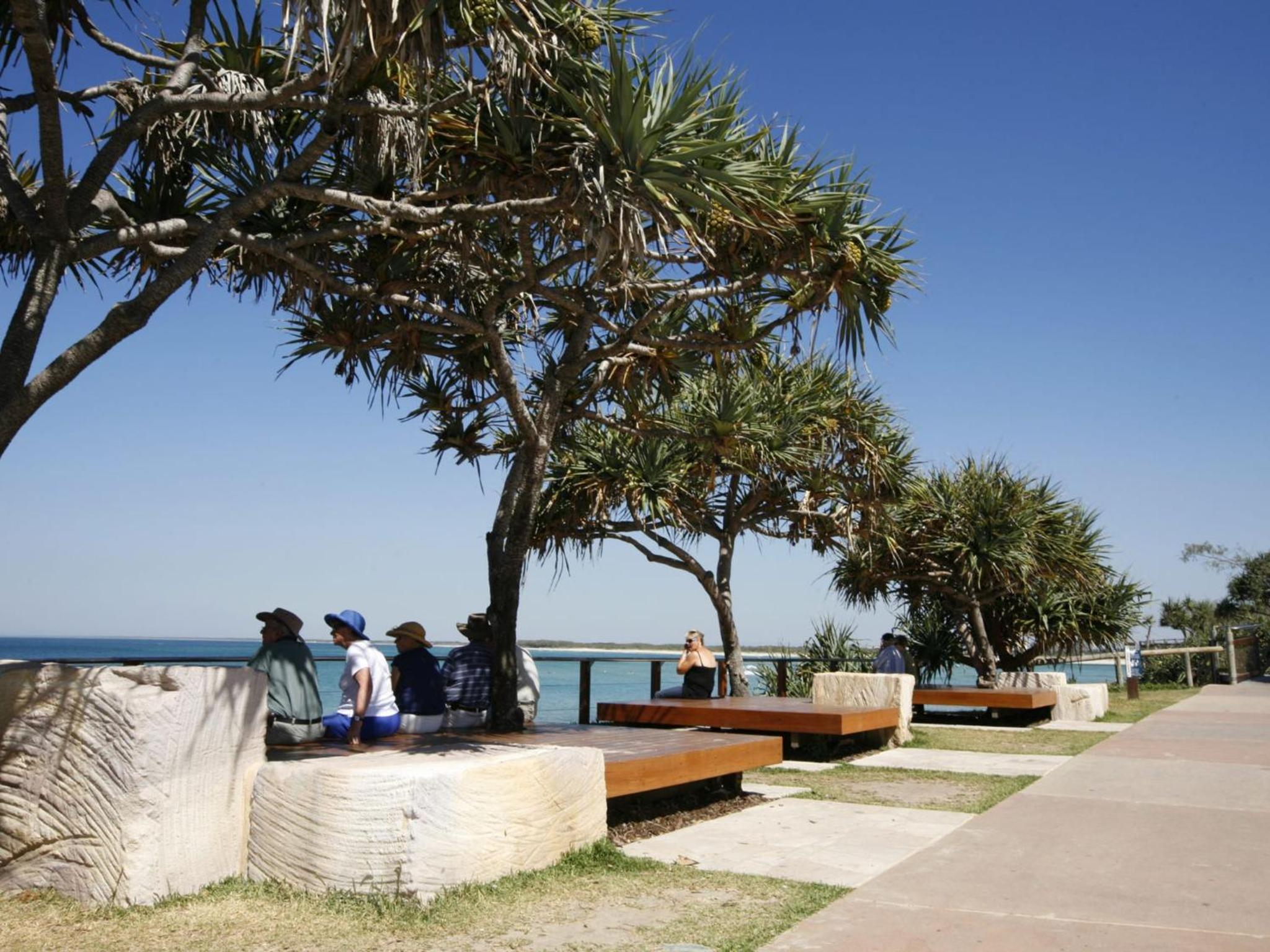Ivy Street 7 Dicky Beach