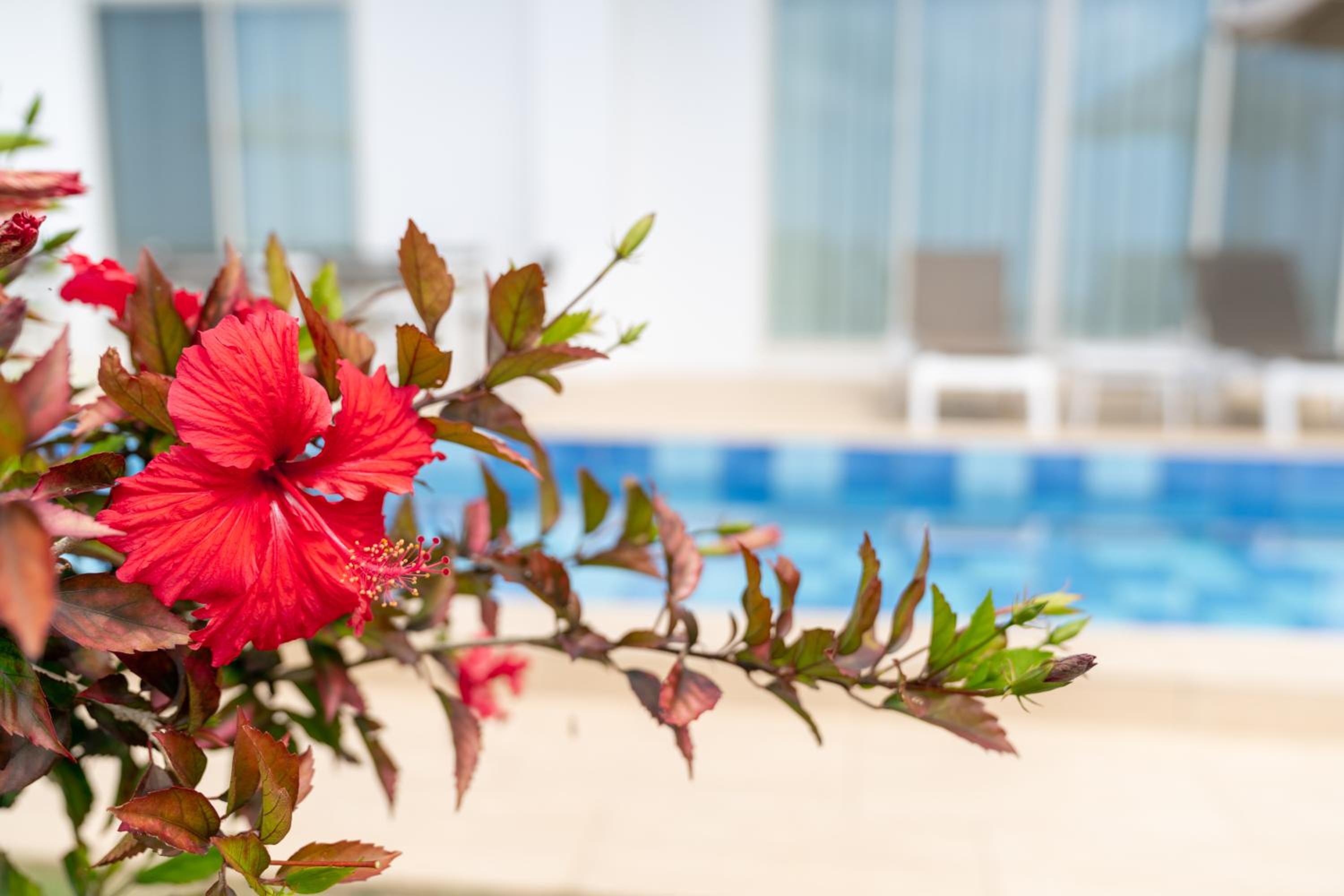 Crystal Villa Miyakojima Sunayama Beach