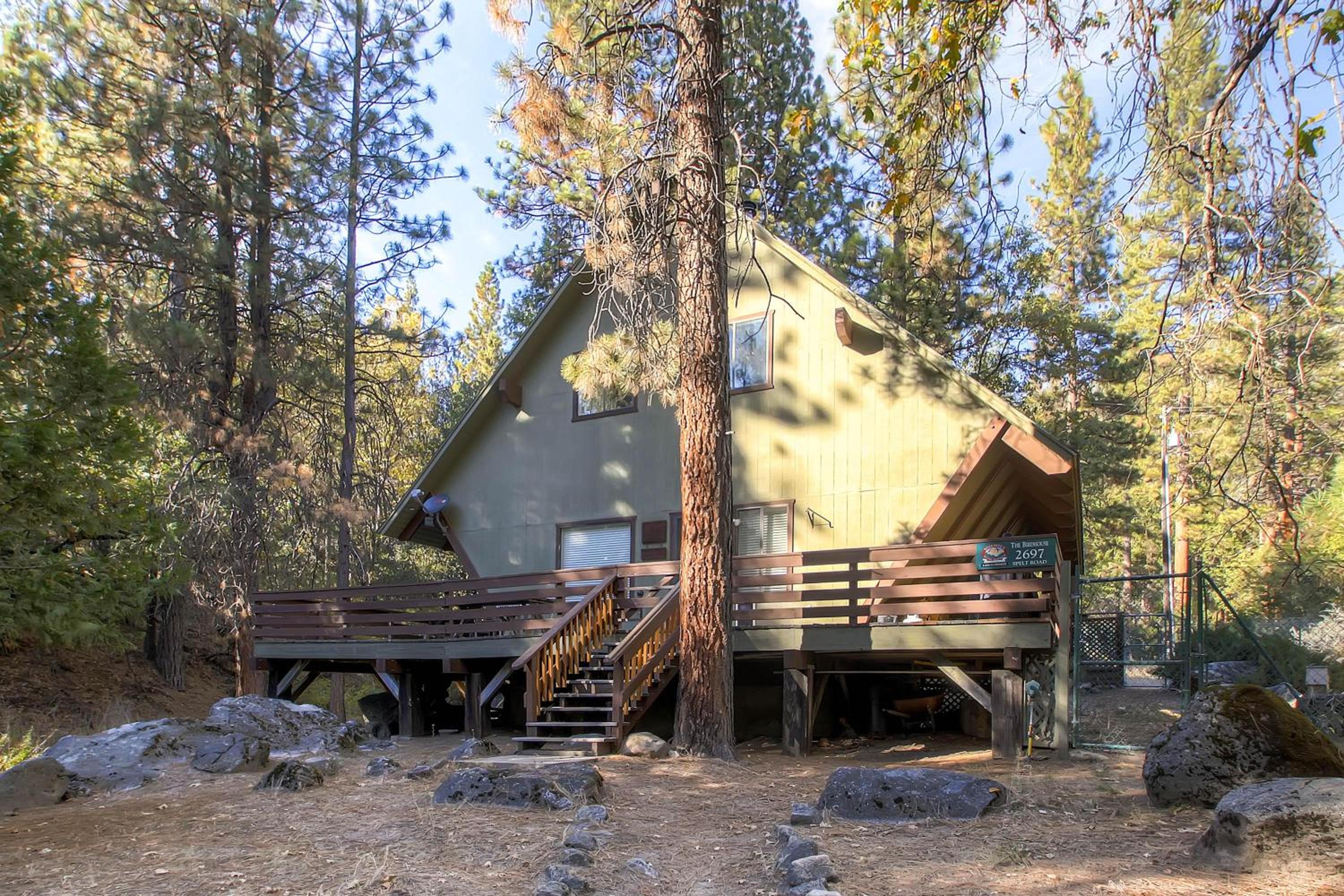Yosemite's Creekside Birdhouse