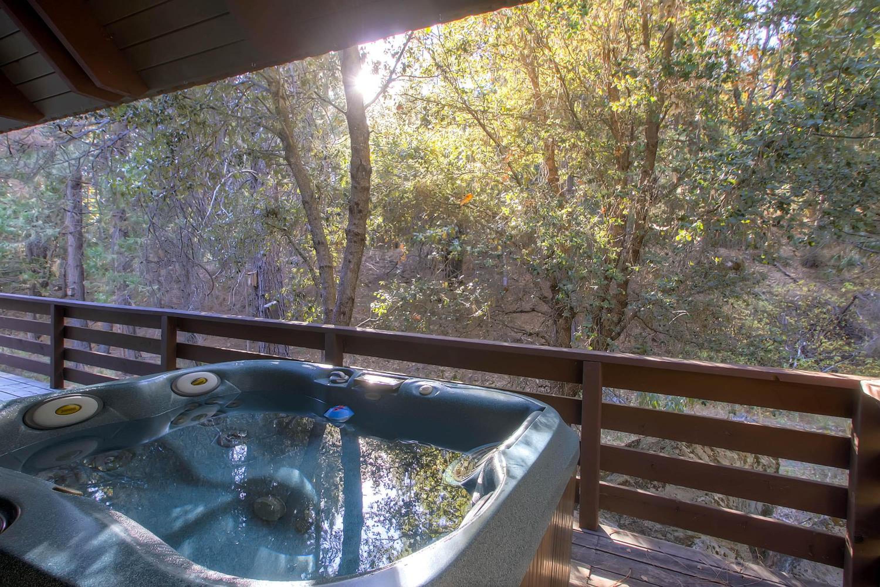 Yosemite's Creekside Birdhouse