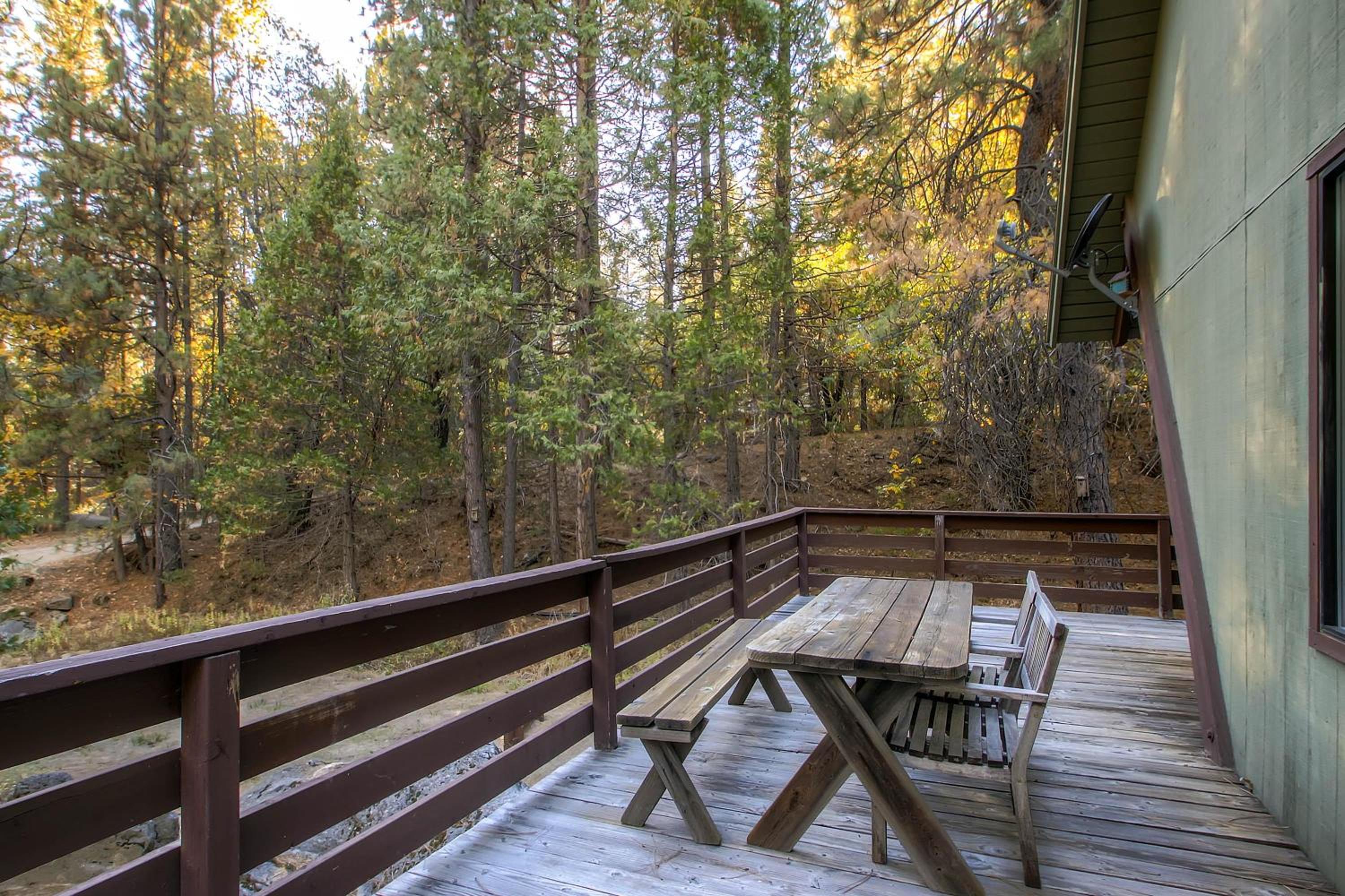 Yosemite's Creekside Birdhouse
