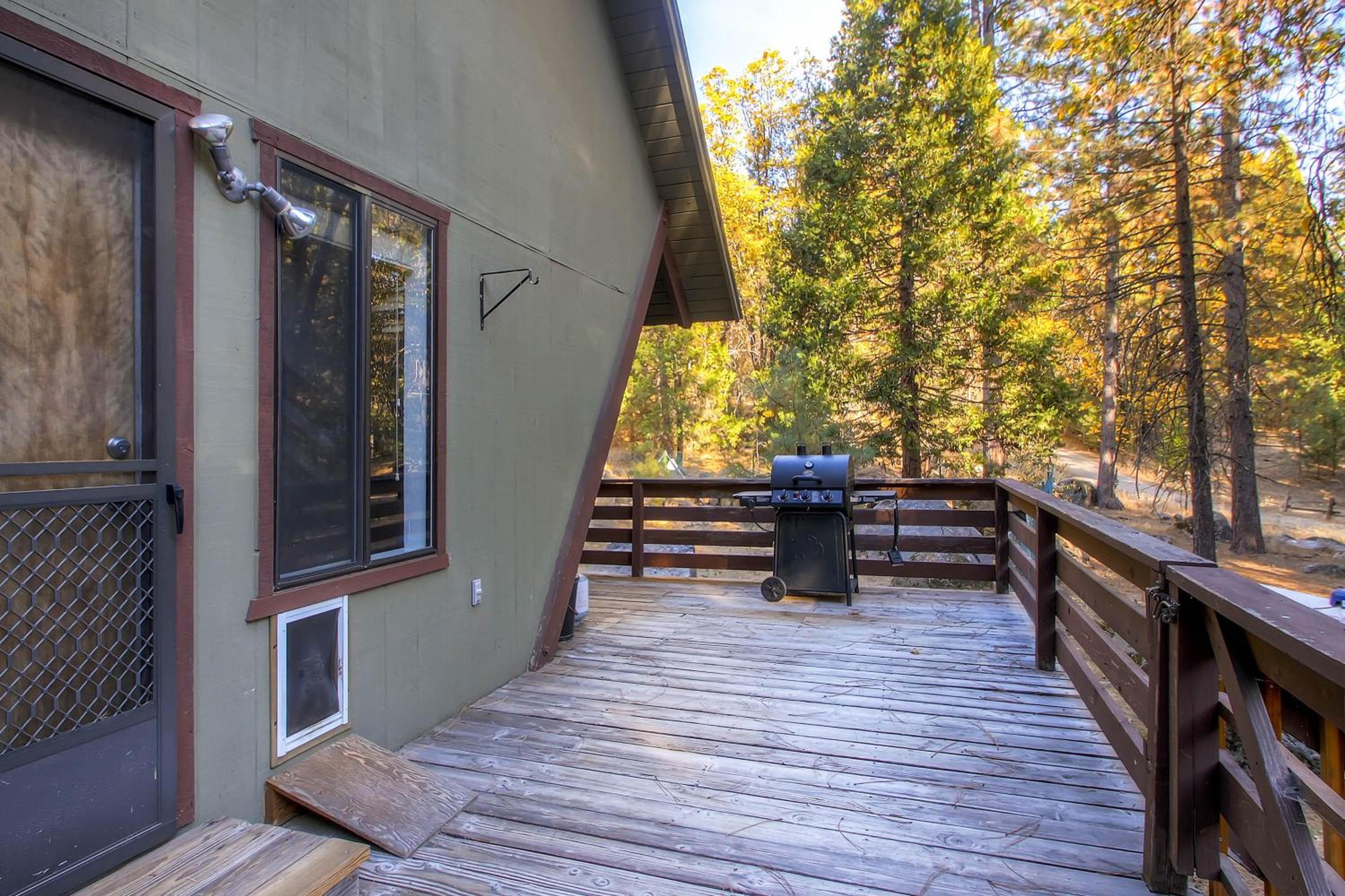 Yosemite's Creekside Birdhouse
