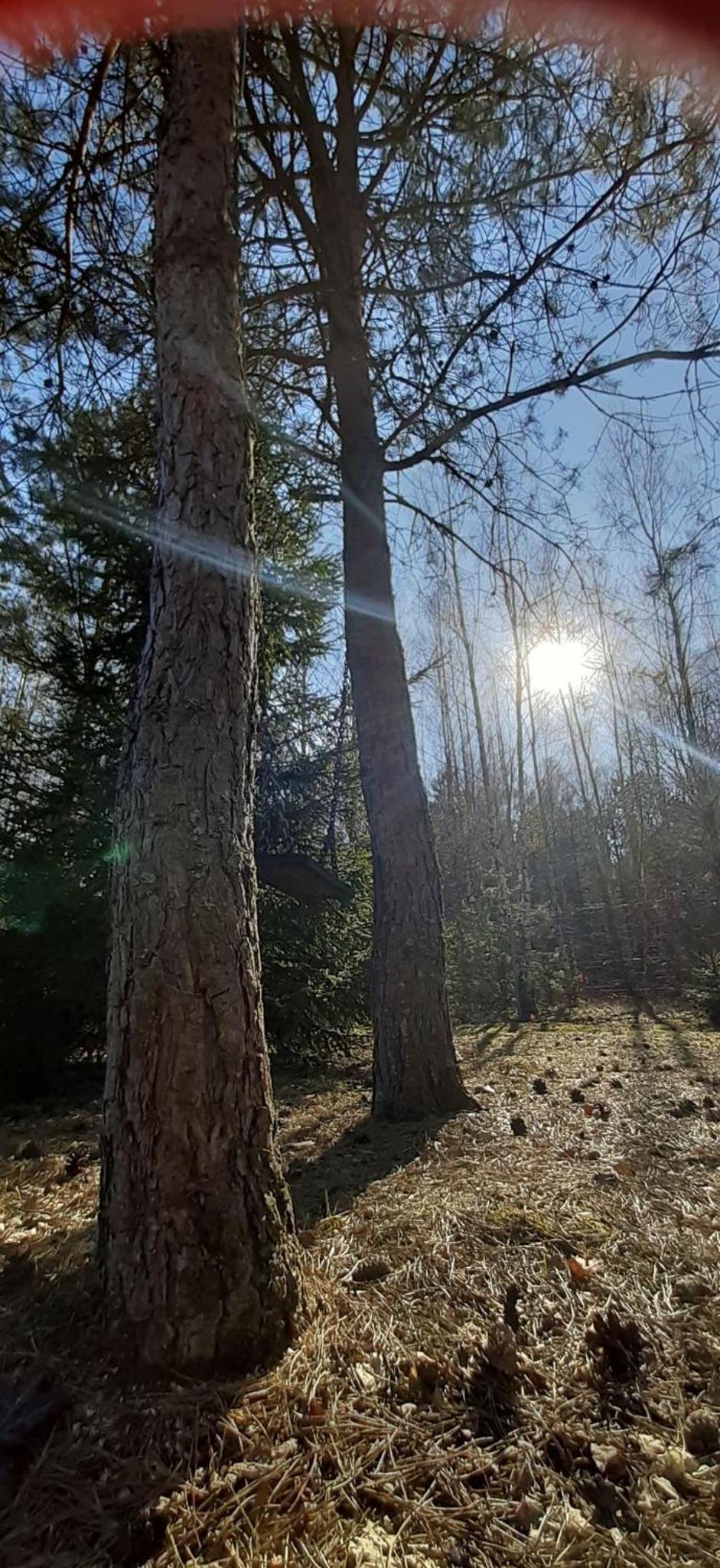 Photo 100