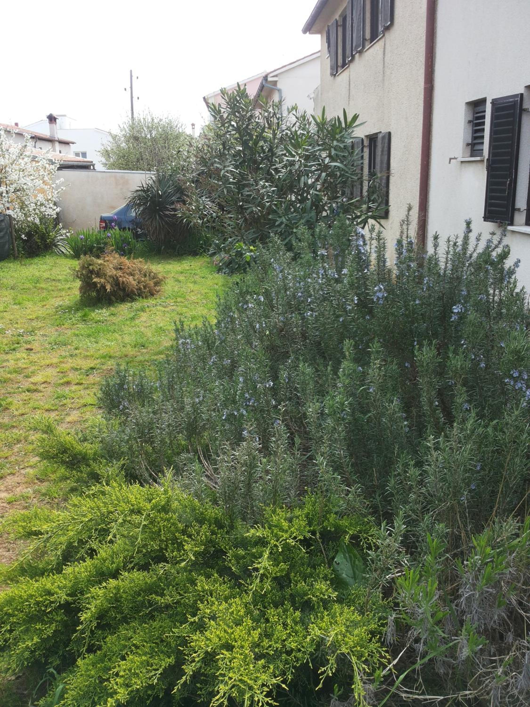 Photo 34
