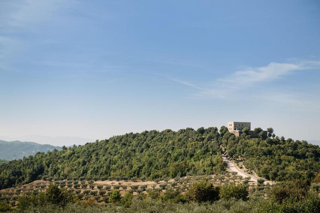 Tenuta di Forte Sorgnano