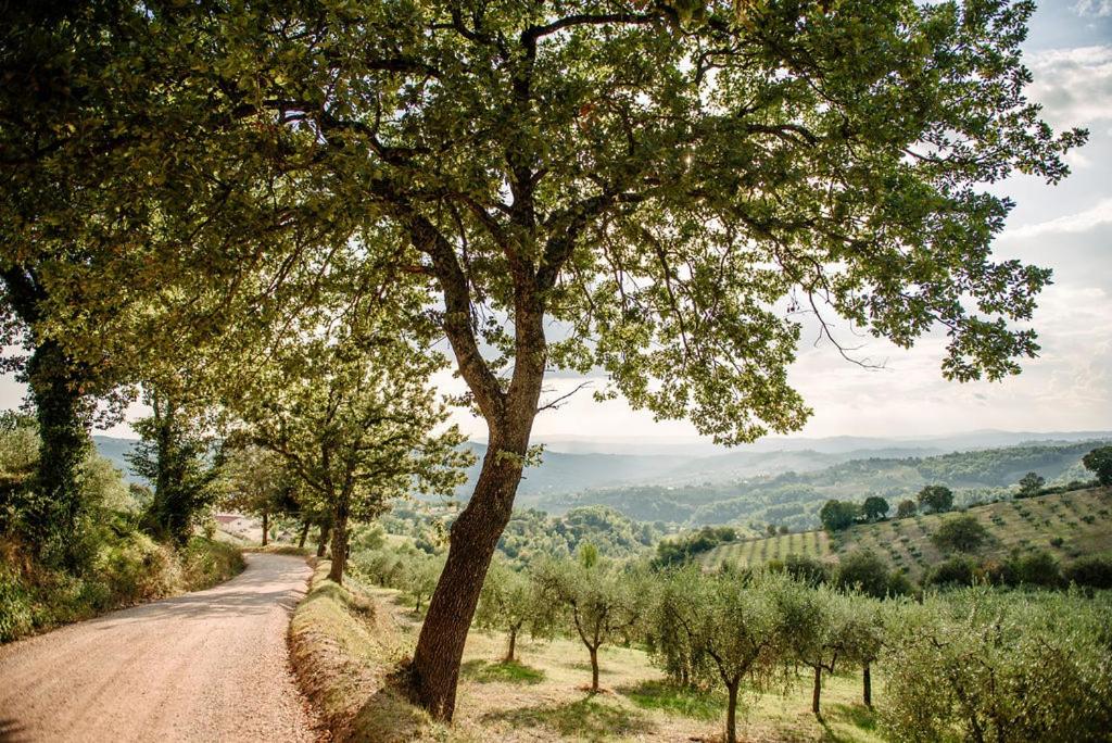 Tenuta di Forte Sorgnano