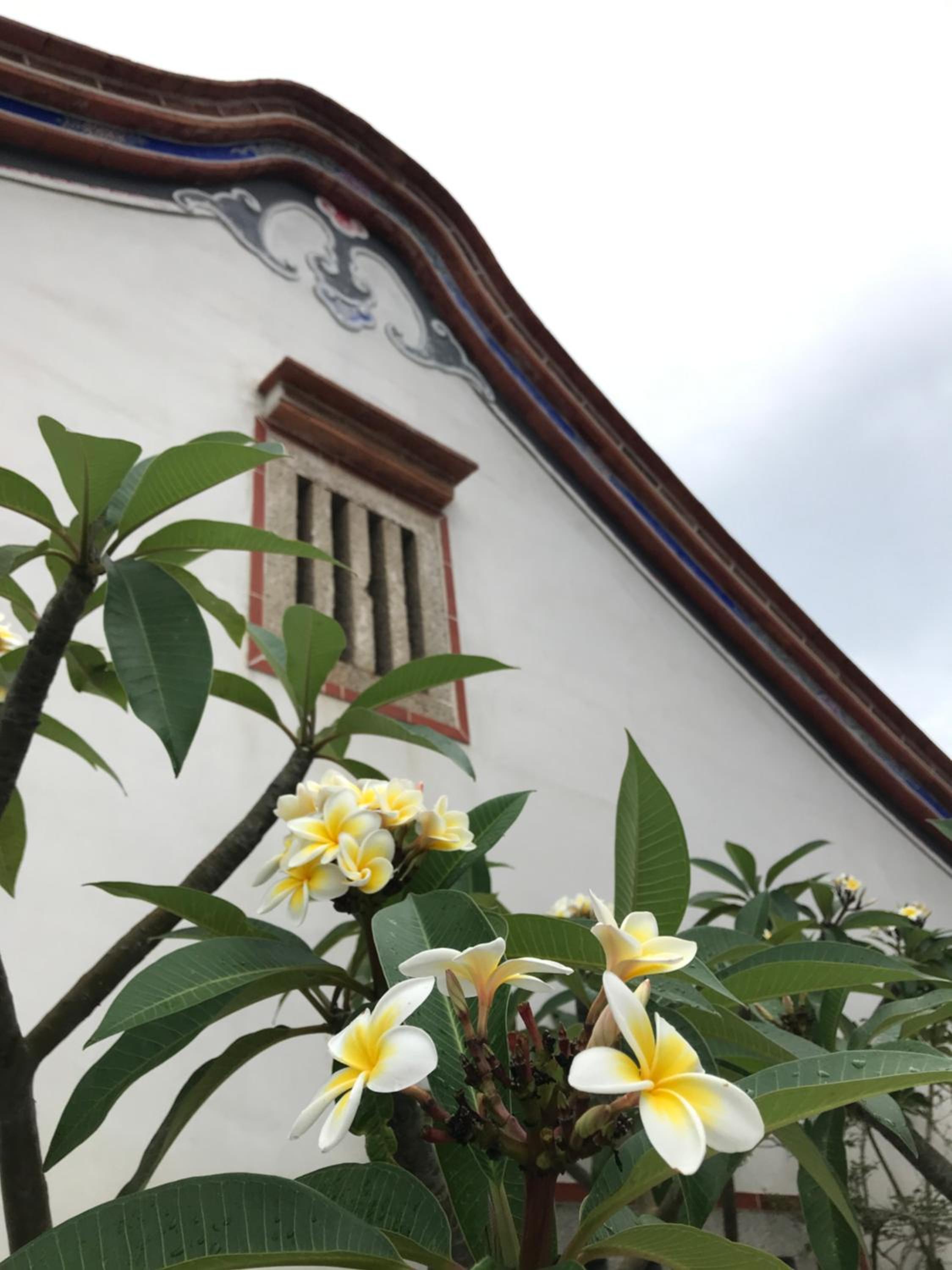 Grace Homestay 54