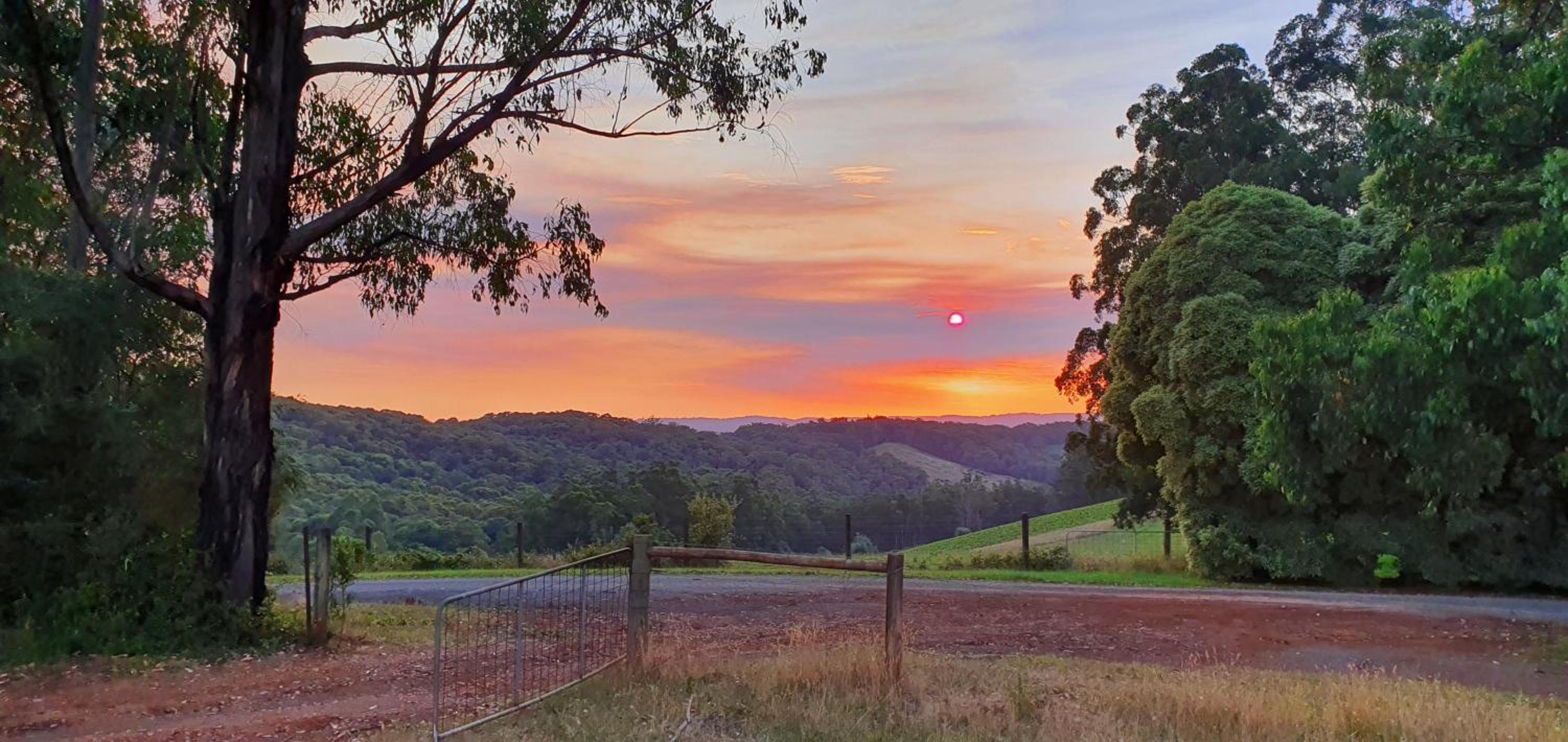 KiNam Vinea - A Vineyard Farmhouse in the Yarra Valley