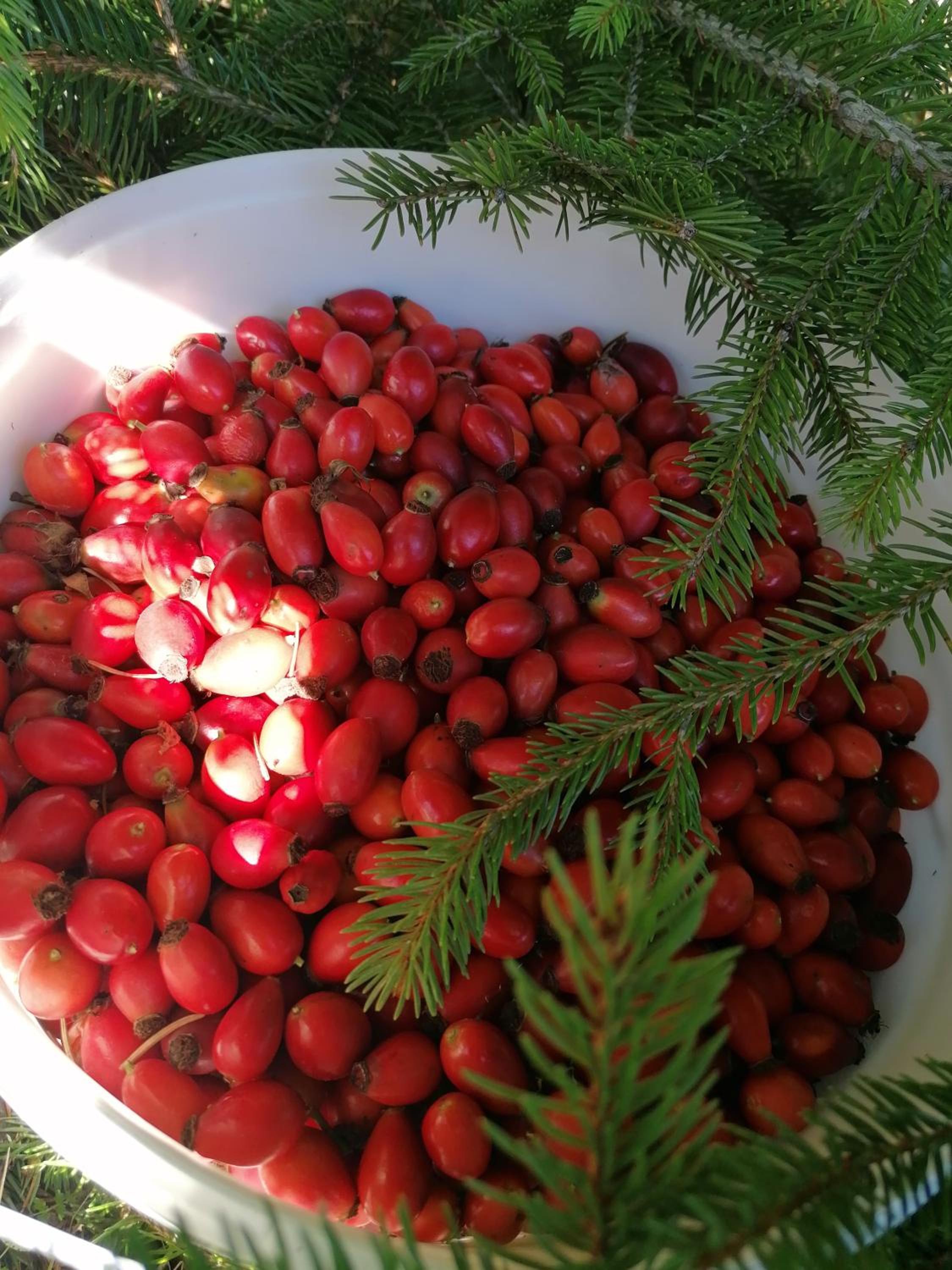 Photo 51