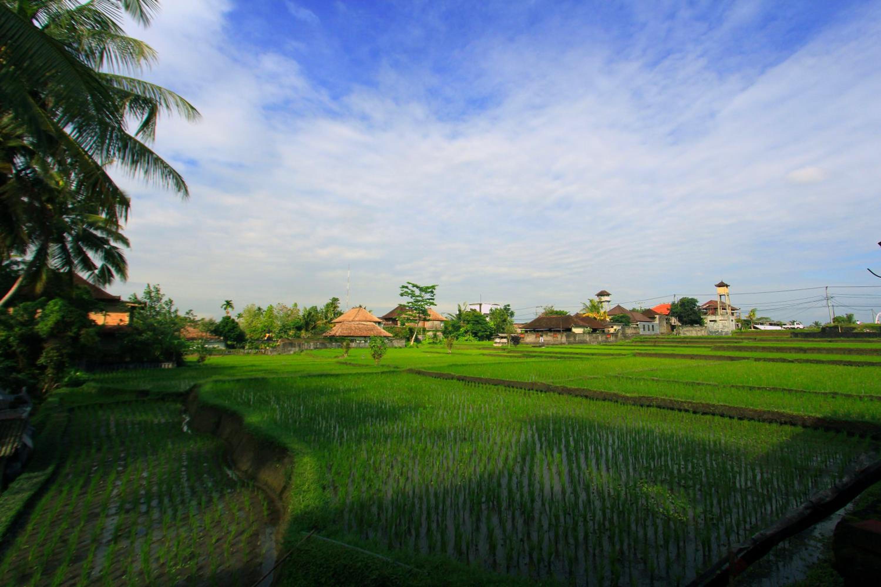 Alam Terrace Cottages