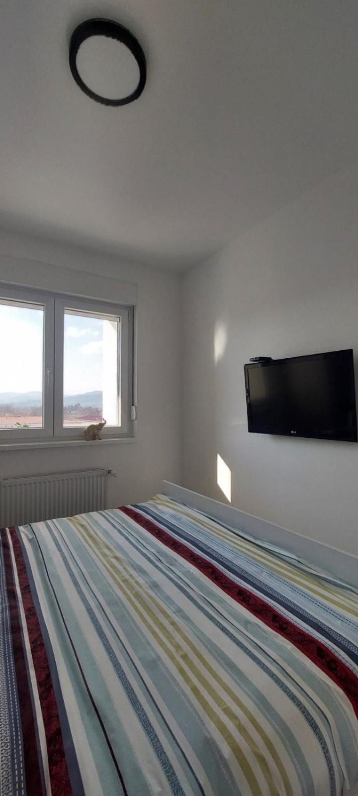Apartman 21 Banja Koviljača view 5