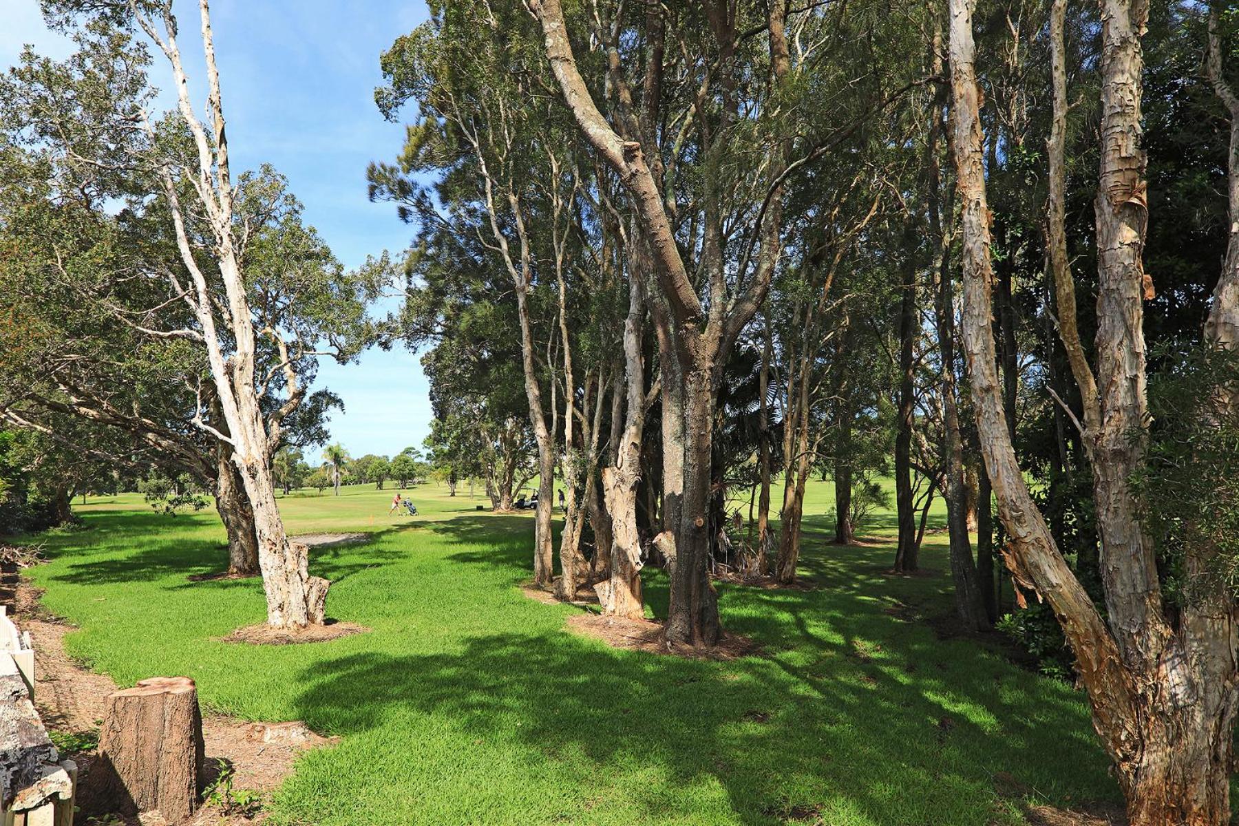 The Fairways 5 view 3