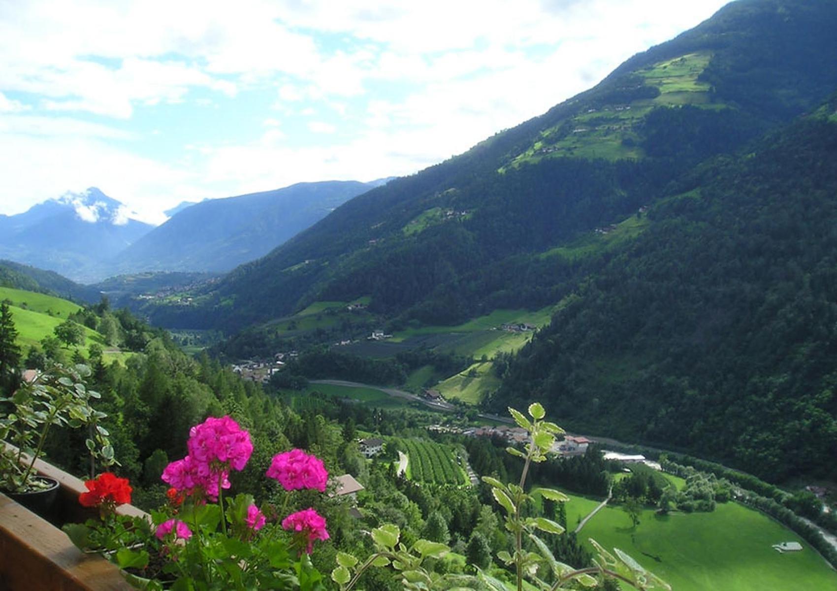 Ferienwohnung Ortler