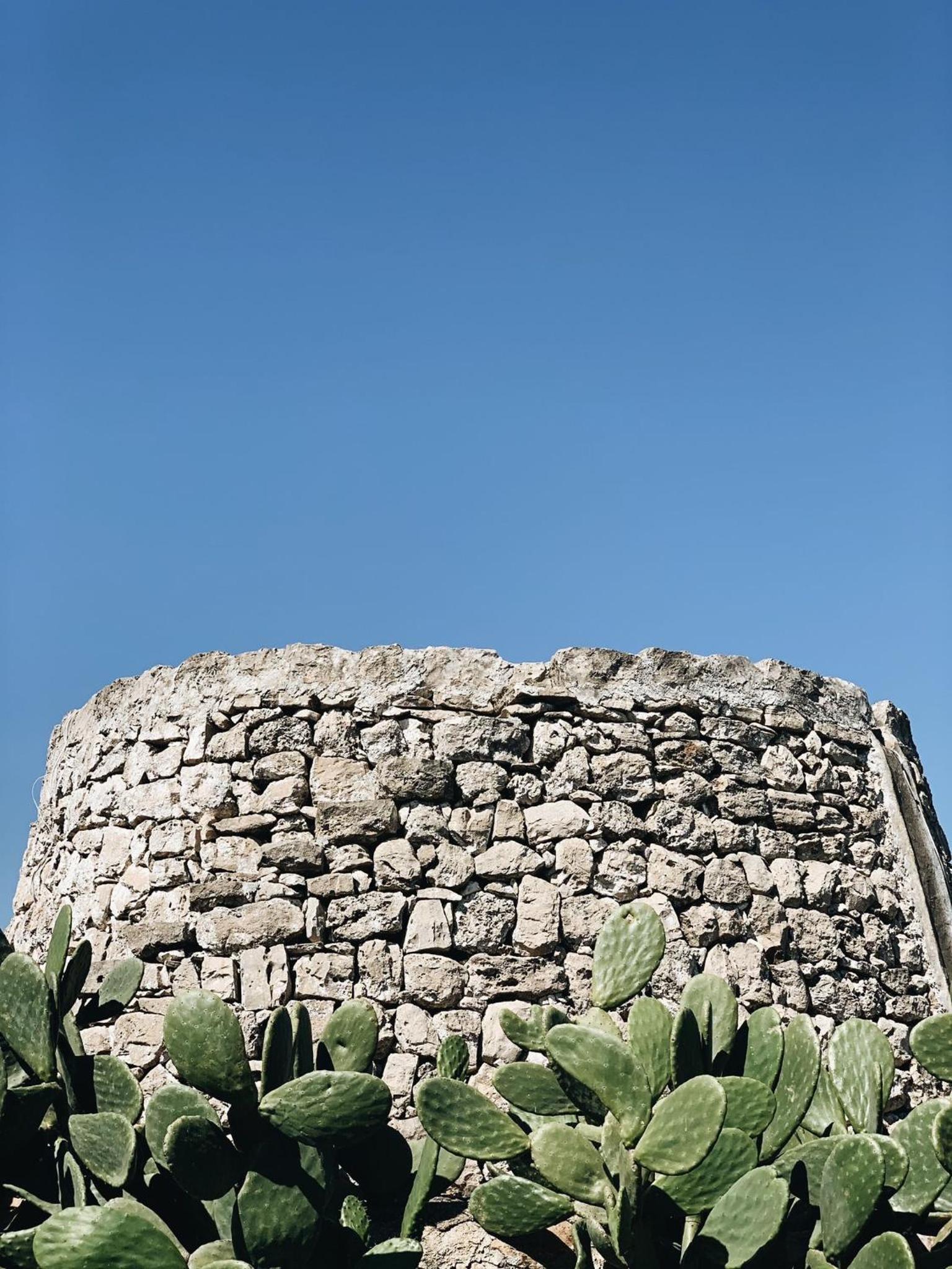 Photo 35