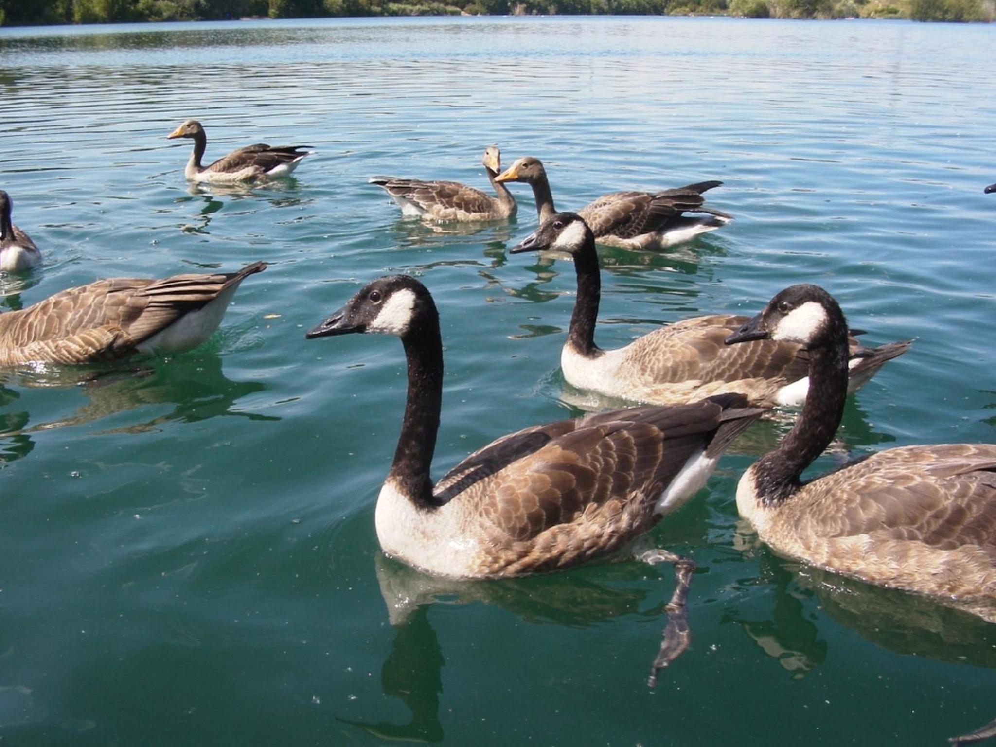 B&B am See Köln - Privatzimmer