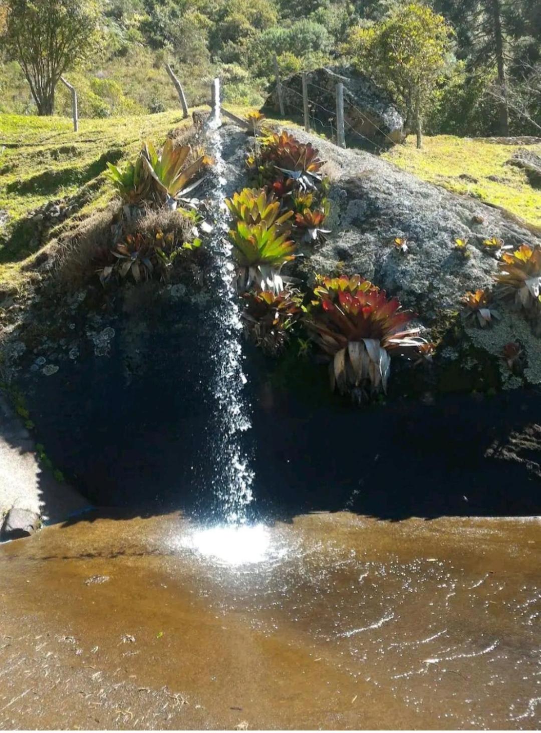 Rancho 3 picos para 30 pessoas