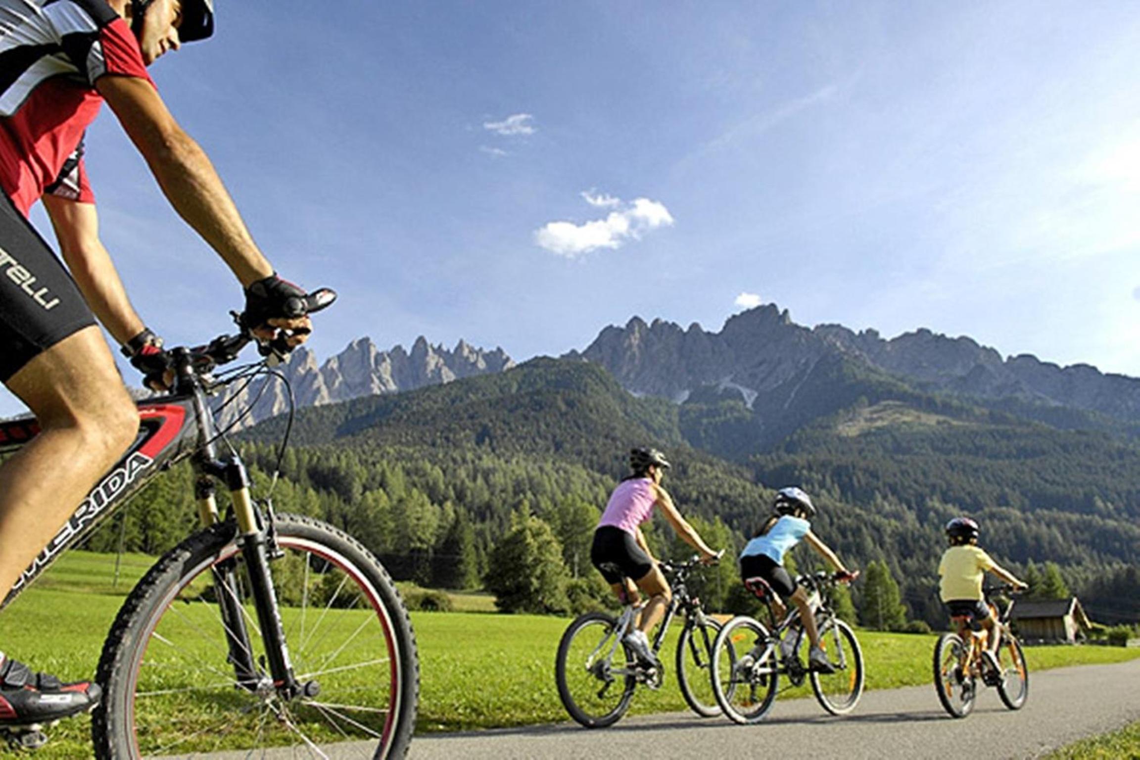 B&B Villa Dolomites Hut