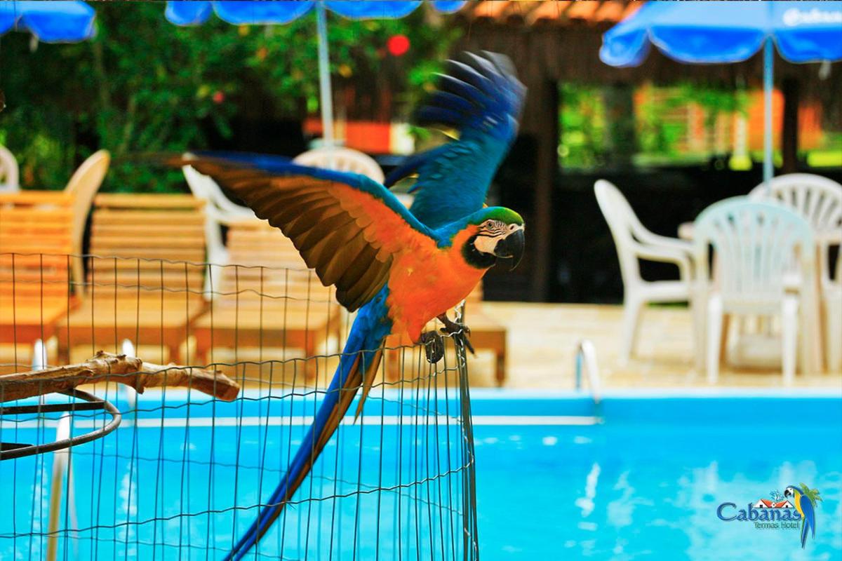Cabanas Termas Hotel