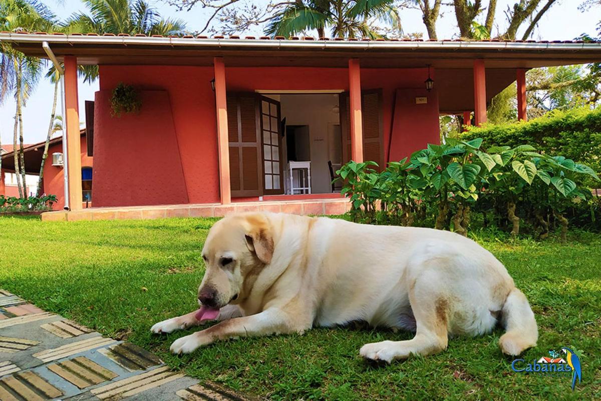 Cabanas Termas Hotel