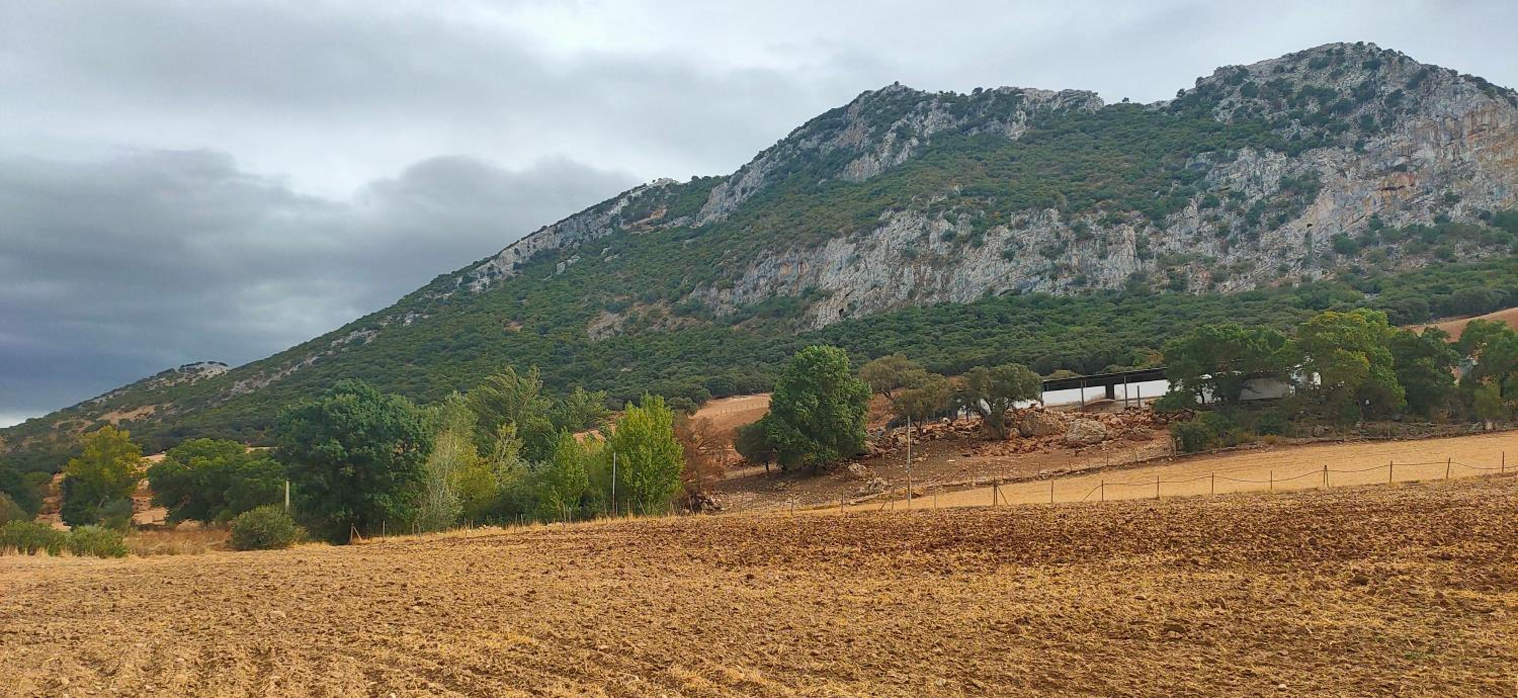 Cortijo Los Arcos - Lujo rural con piscina y vistas espectaculares en Málaga