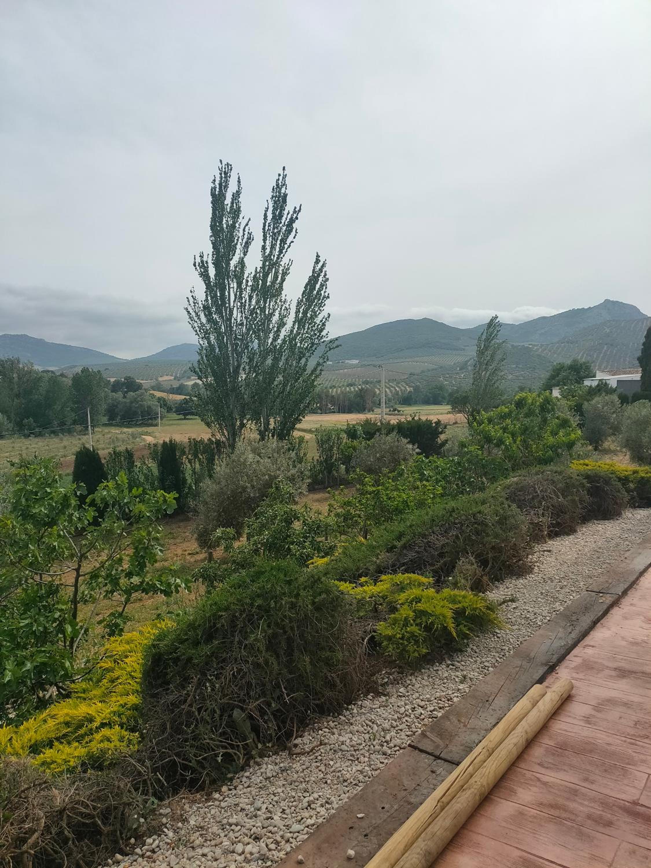 Cortijo Los Arcos - Lujo rural con piscina y vistas espectaculares en Málaga