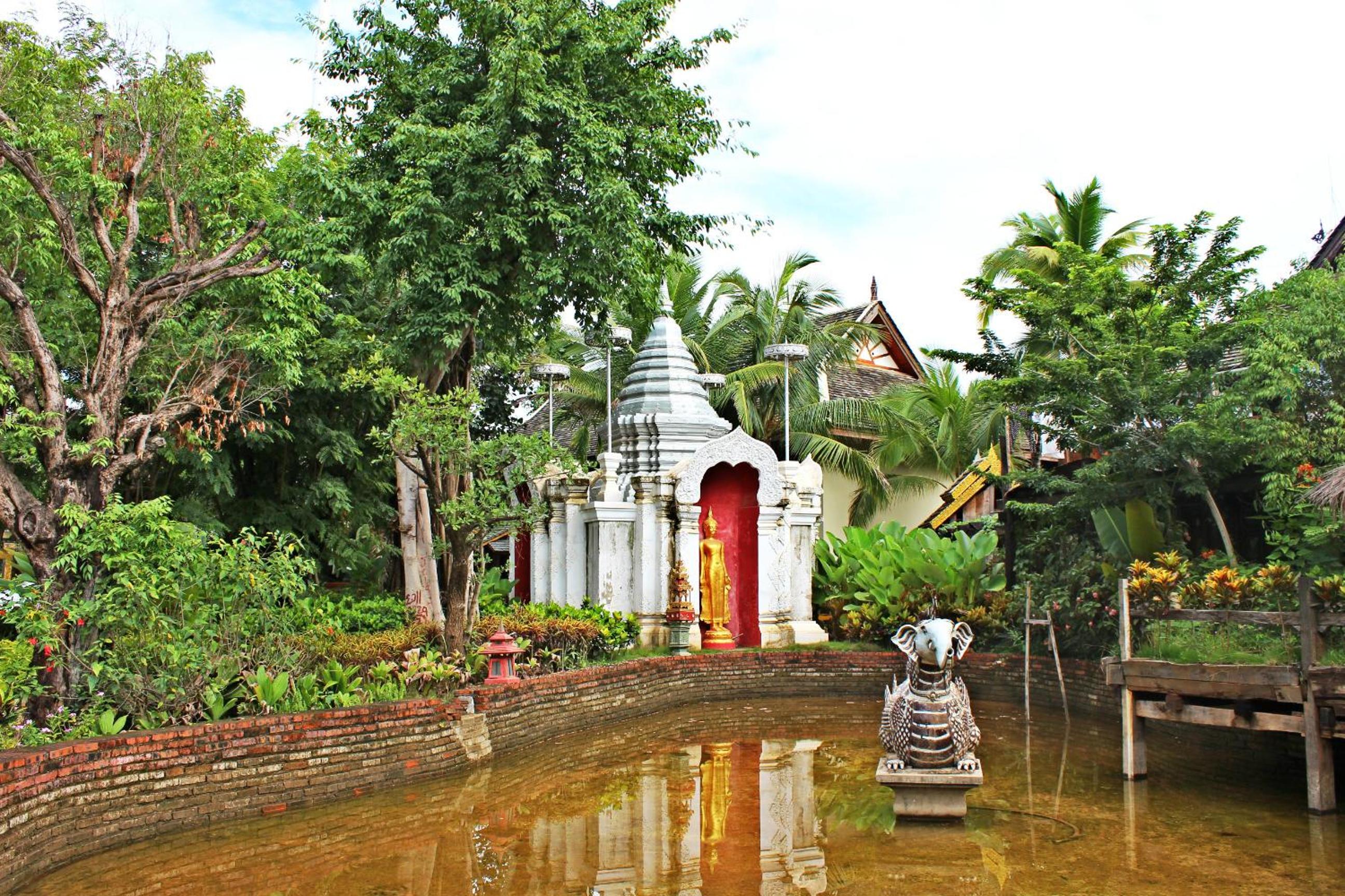 Xishuangbanna Elephant Home Guesthouse