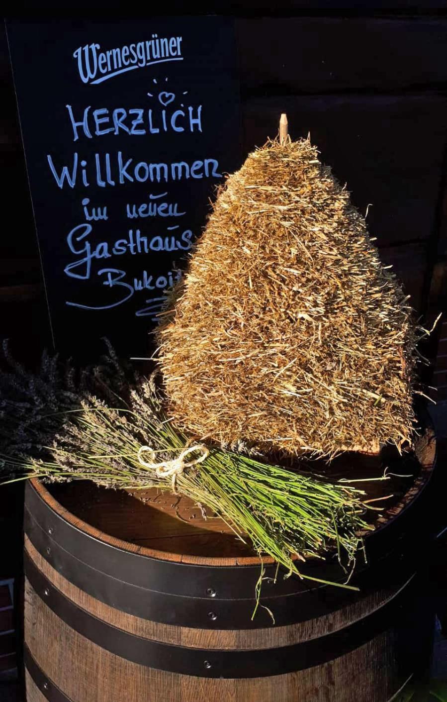 Gasthaus Bukoitza view 2