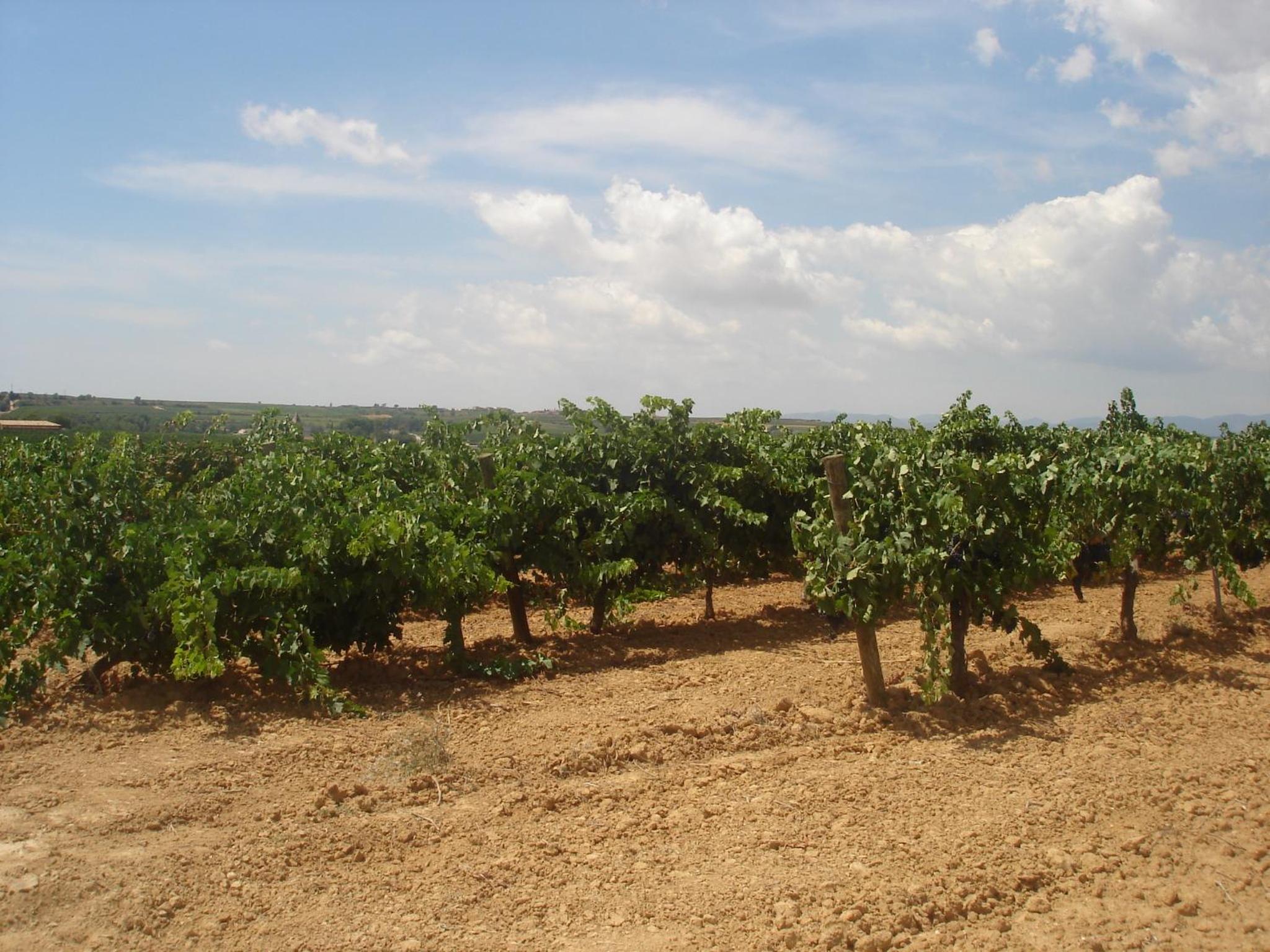 Agroturisme Cal Jeroni