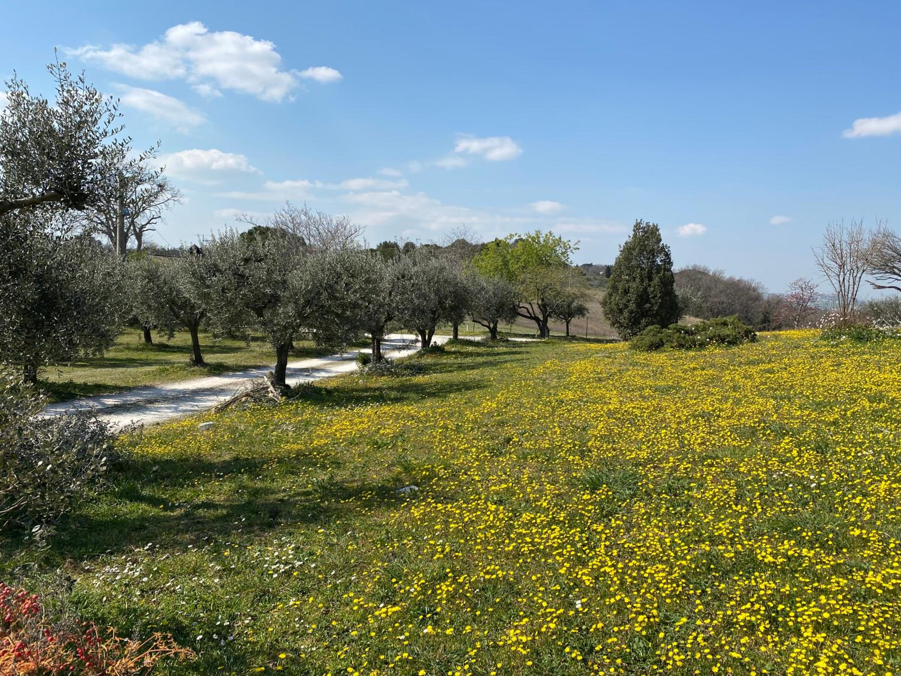 Belle Marche view 2