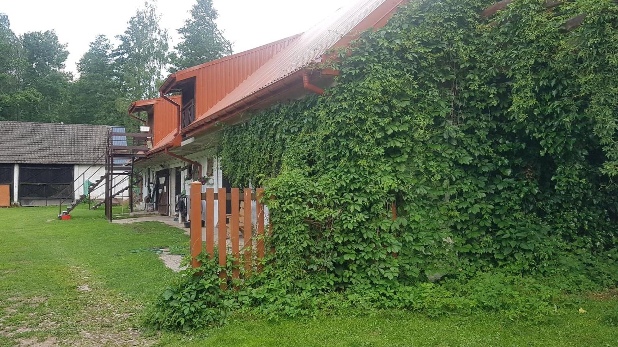 Photo 43