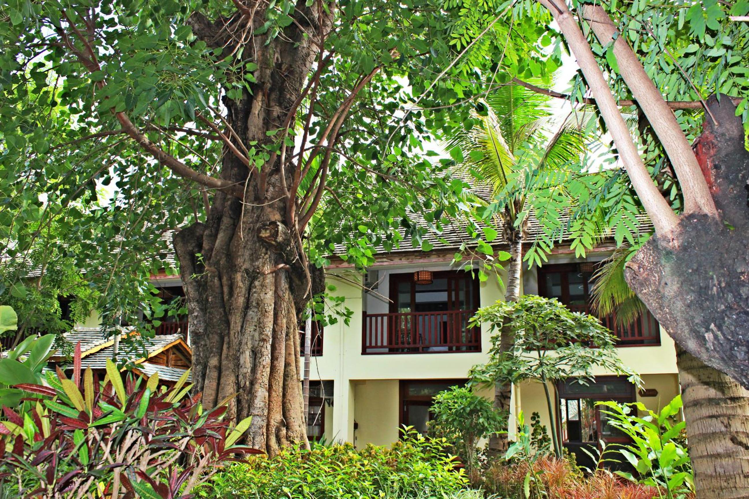 Xishuangbanna Elephant Home Guesthouse