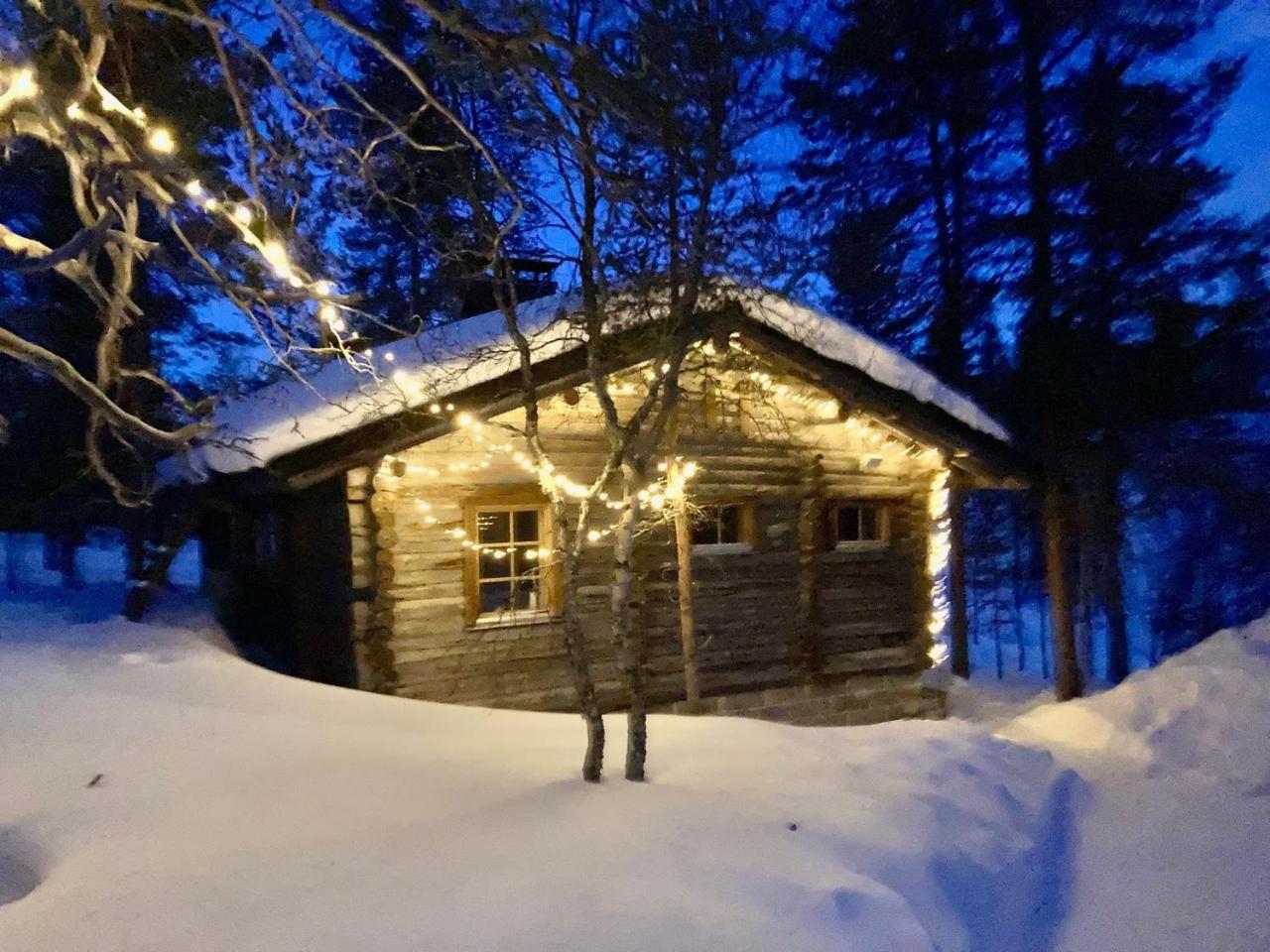 Kuukkeli Log Houses Aurora- Secret Cabin view 2