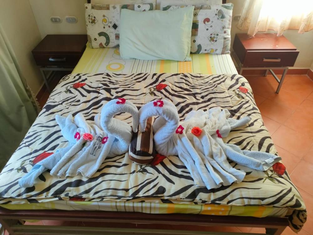 Ain Sokhna Vacations - Villa with private pool cancon alsokhna hited 66 - Property Image 4